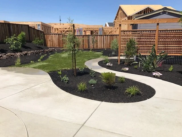 A backyard with a concrete walkway, small trees, shrubs, and a grassy area, enclosed by a wooden fence and partially centered on a garden bed with dark mulch and flowering plants.