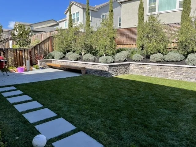 A backyard with a well-manicured lawn, a paved patio area with a purple pot and a white ball, and a garden bed with tall bushes and small rounded shrubs, surrounded by a wooden fence and neighboring houses.