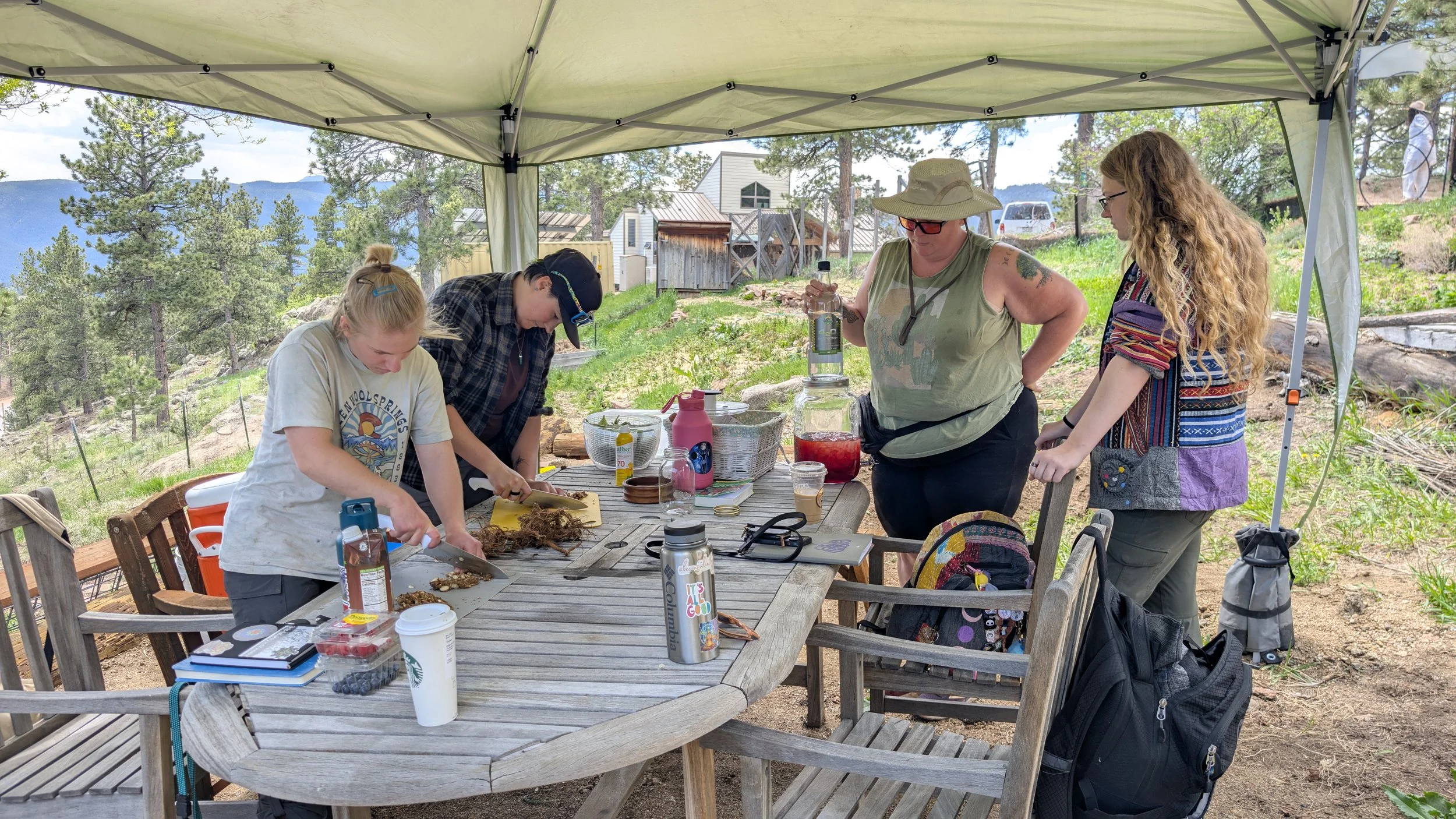 Teaching in the Garden at Earthstar Farm