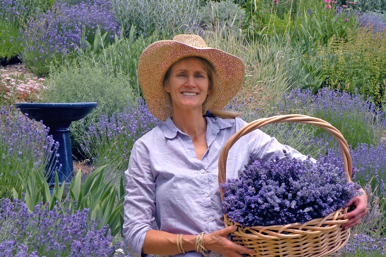 Smiling woman wearing a wide-brimmed straw hat and a light-colored shirt, holding a basket of purple lavender flowers in a garden filled with lavender plants.