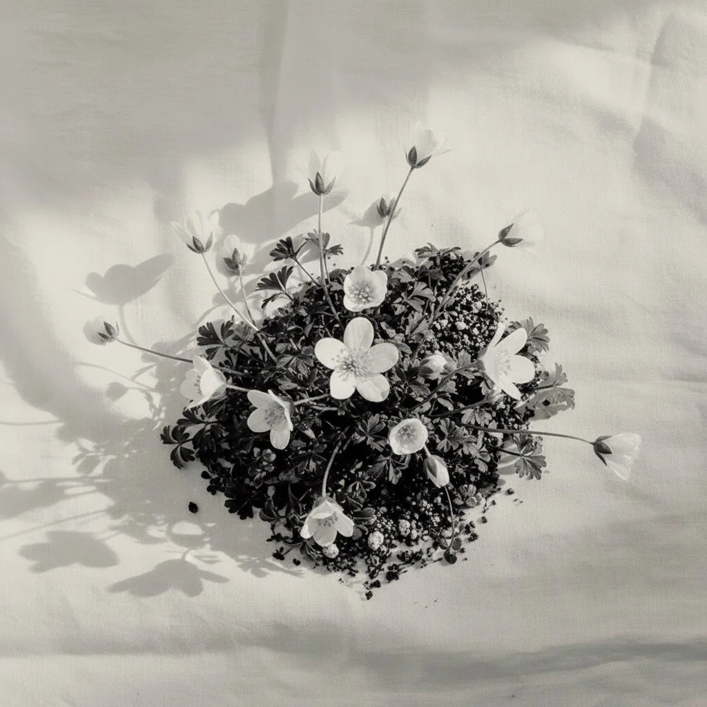 Growth Marketing System