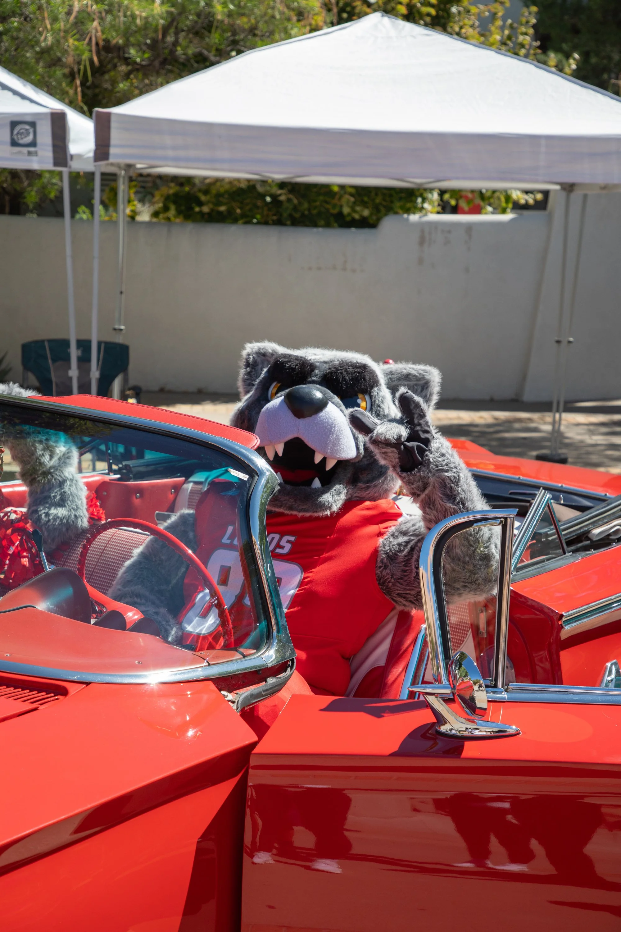 Lobos Donation Funds