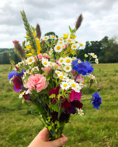 Sweet Stems Backyard Bouquets Subscription - 1 month subscription (x1) & 2 month subscription (x1)

SILENT and LIVE