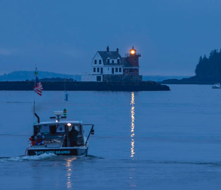 20 Lobsters - Atlantic Reaper (Photo credit Linda Cunningham)

LIVE