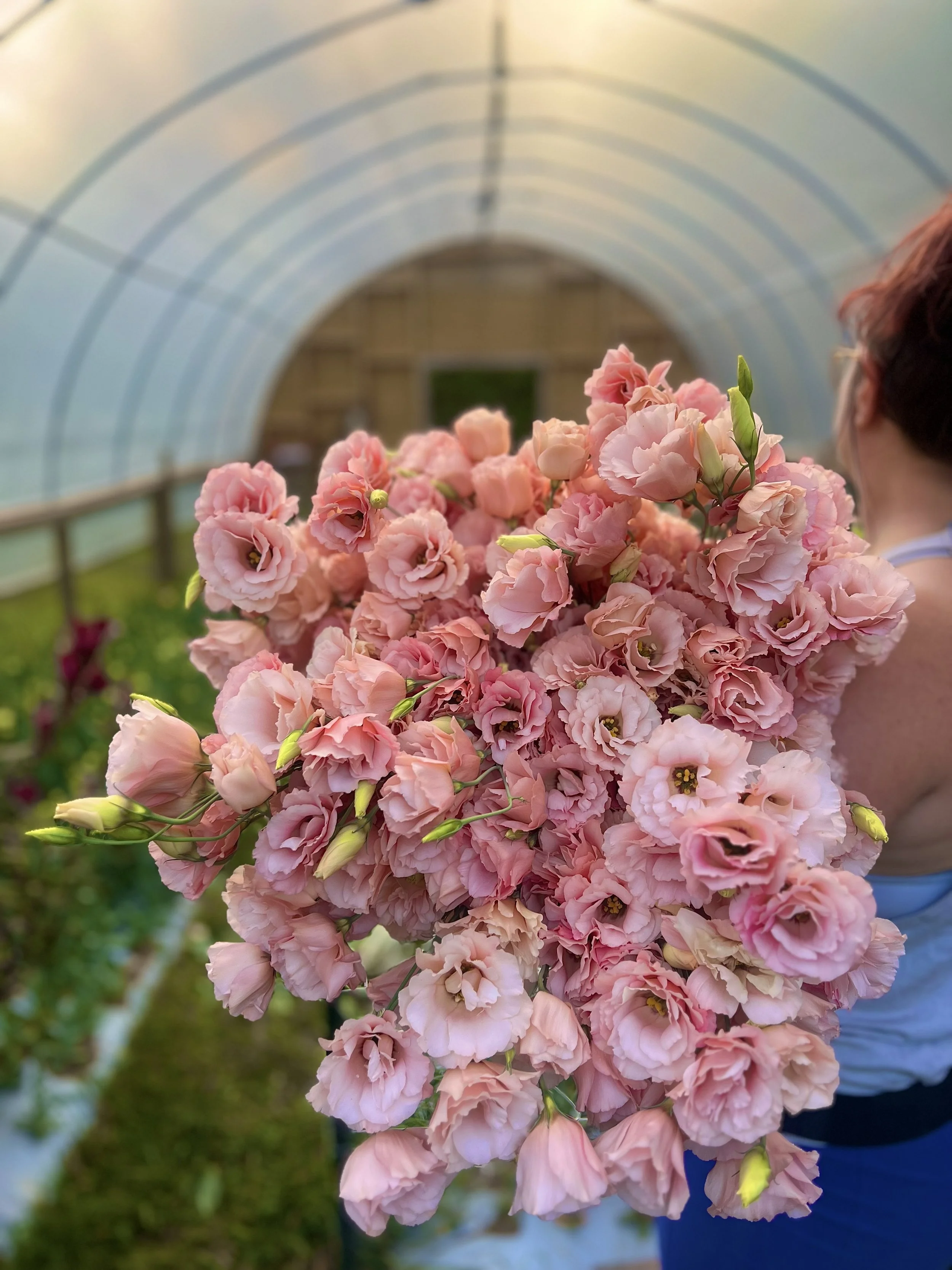 A person holding a large bouquet of pink flowers inside a greenhouse or botanical garden.
