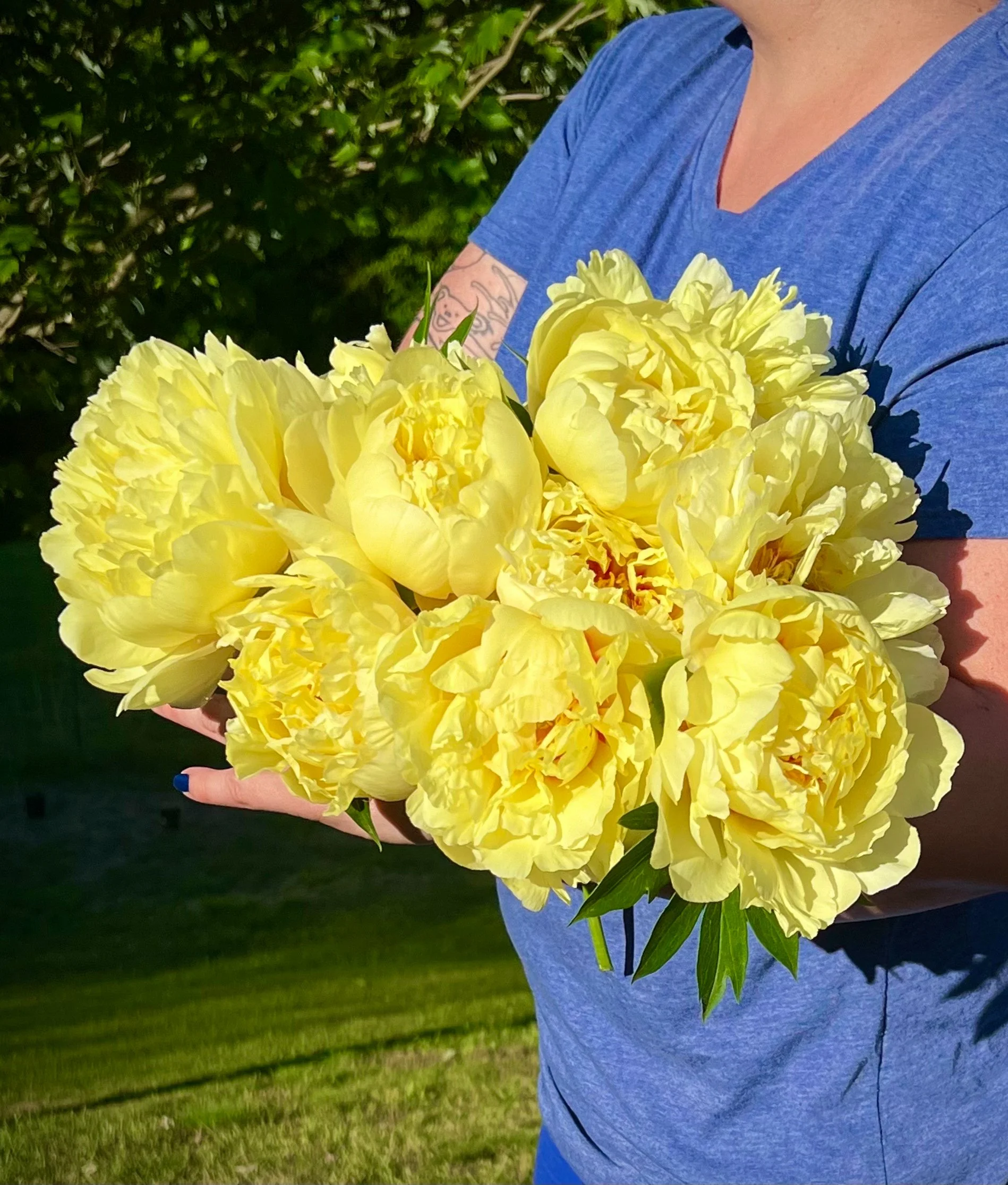 Kandi holding a yellow Peony bouquet wearing a blue shirt, outdoors with green grass and bushes in the background.