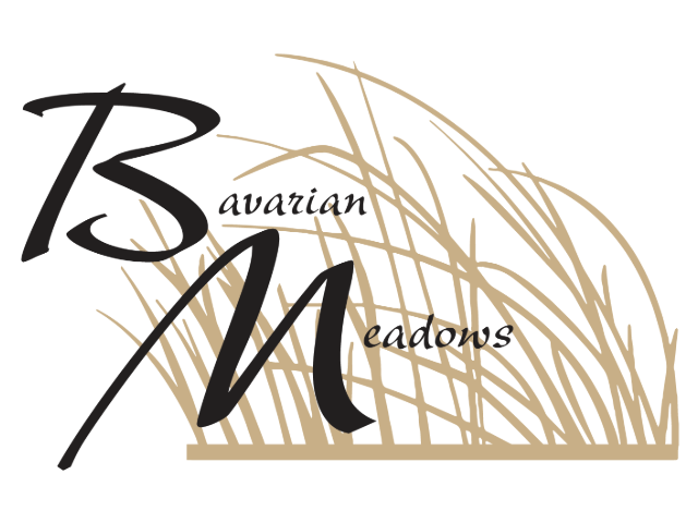 Bavarian Meadows