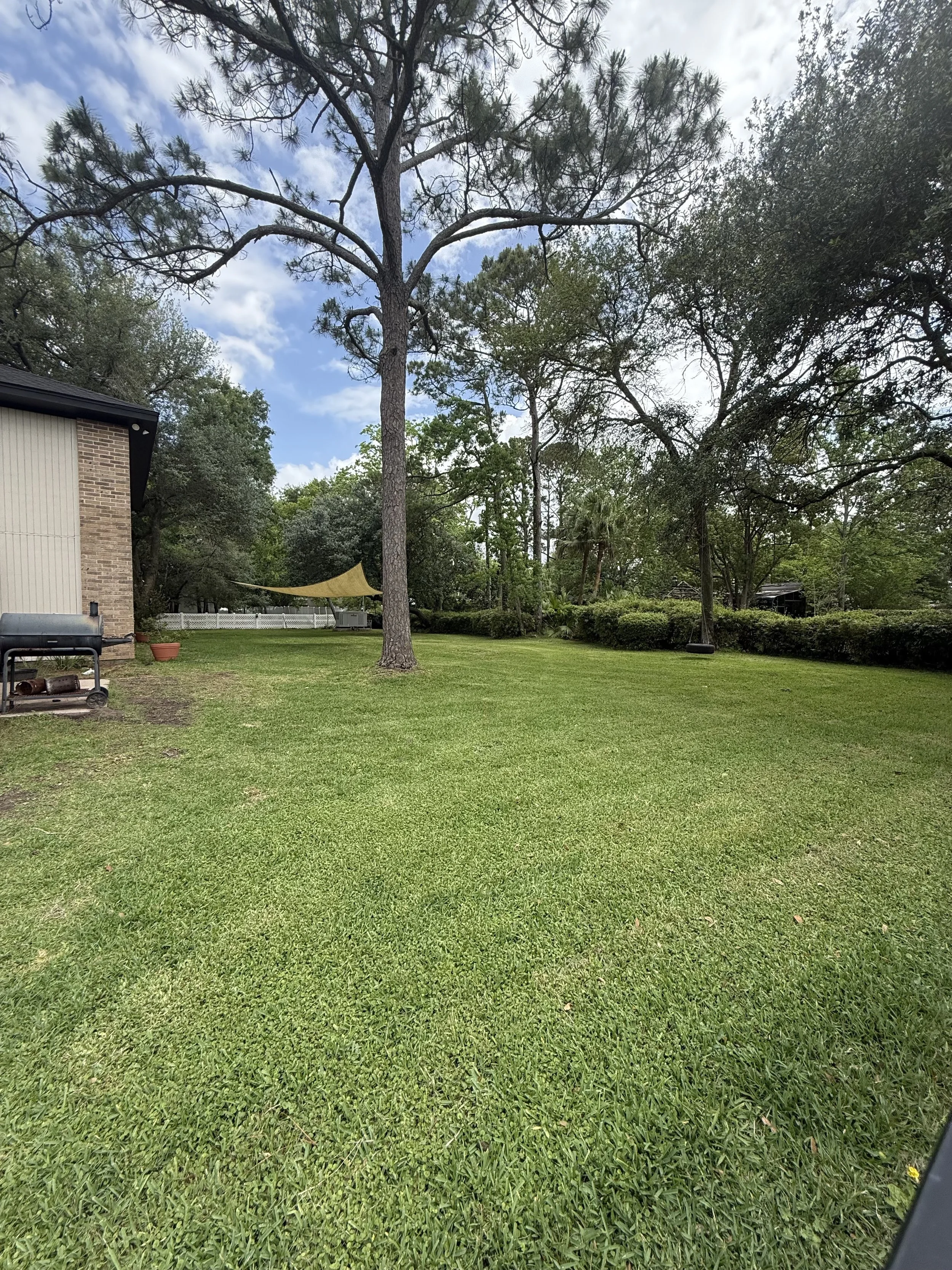 A lush green backyard with a large tree in the center, a house on the left, and a yellow shade sail. The sky is partly cloudy.