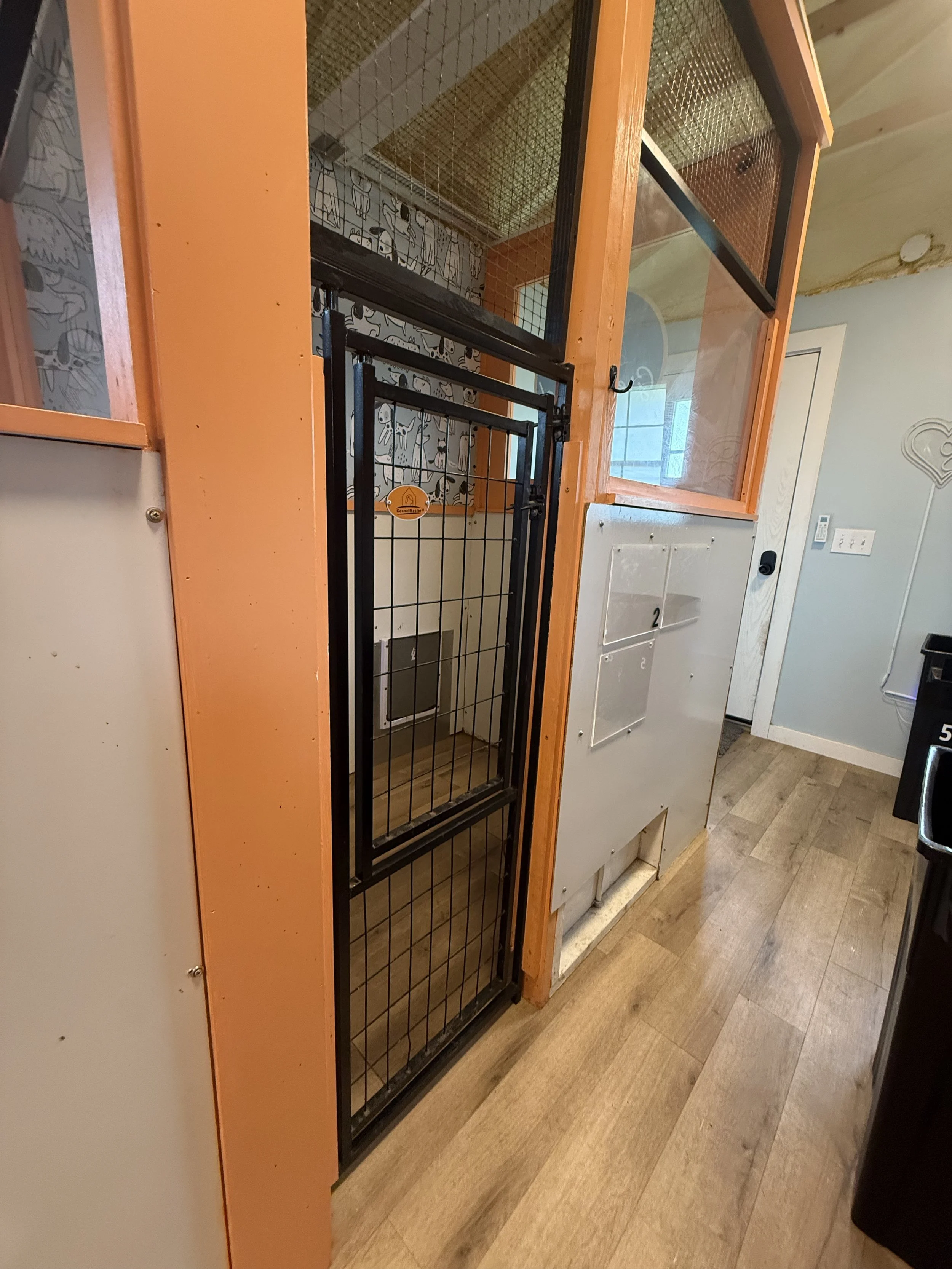A small indoor animal enclosure with a metal gate, situated in a room with wooden flooring and walls decorated with animal-themed wallpaper.
