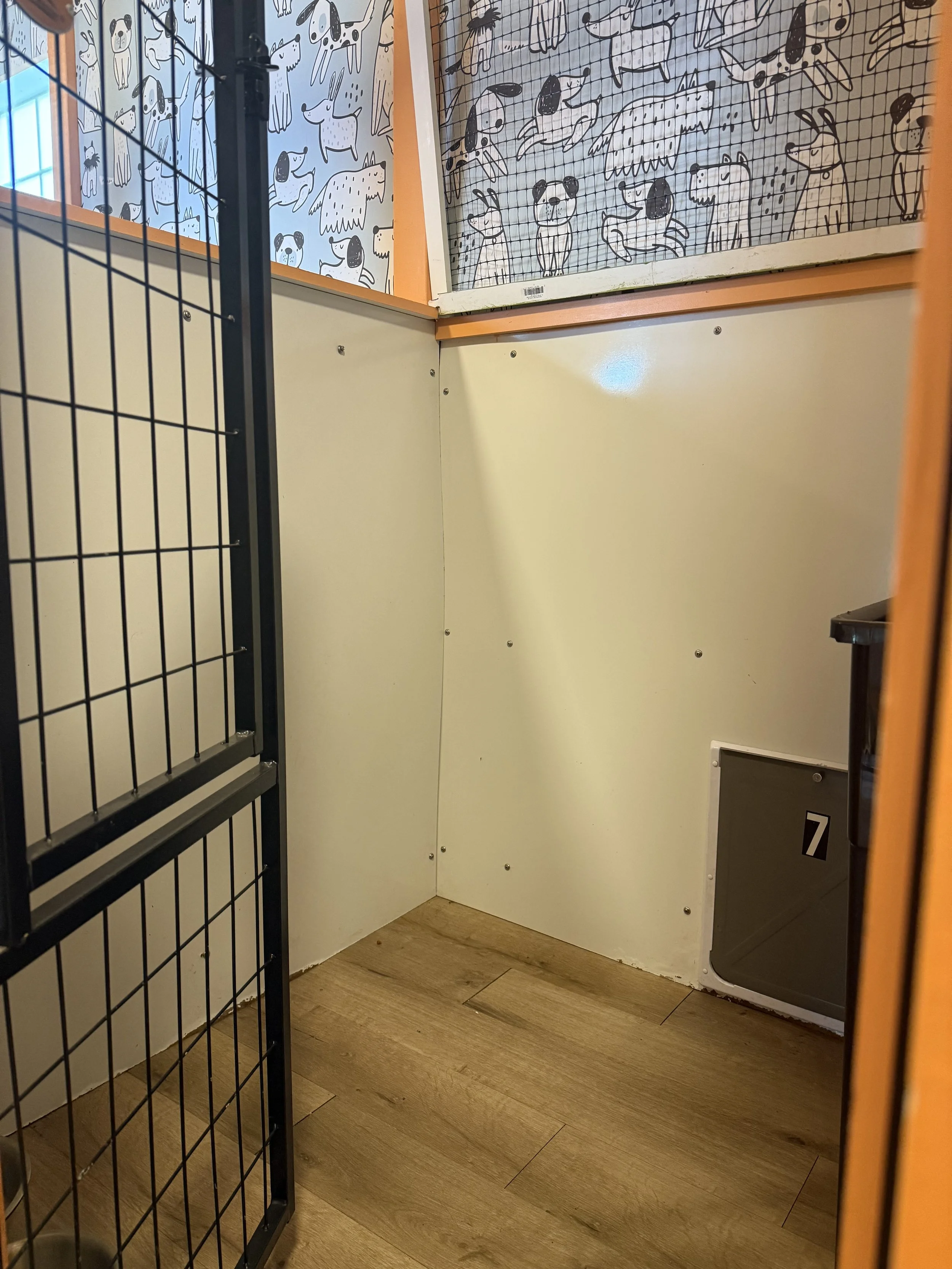 Part of an animal shelter with a wooden floor, beige walls with printed animal illustrations, and black metal fencing. There is a small black electronic or equipment box labeled with the number 7.
