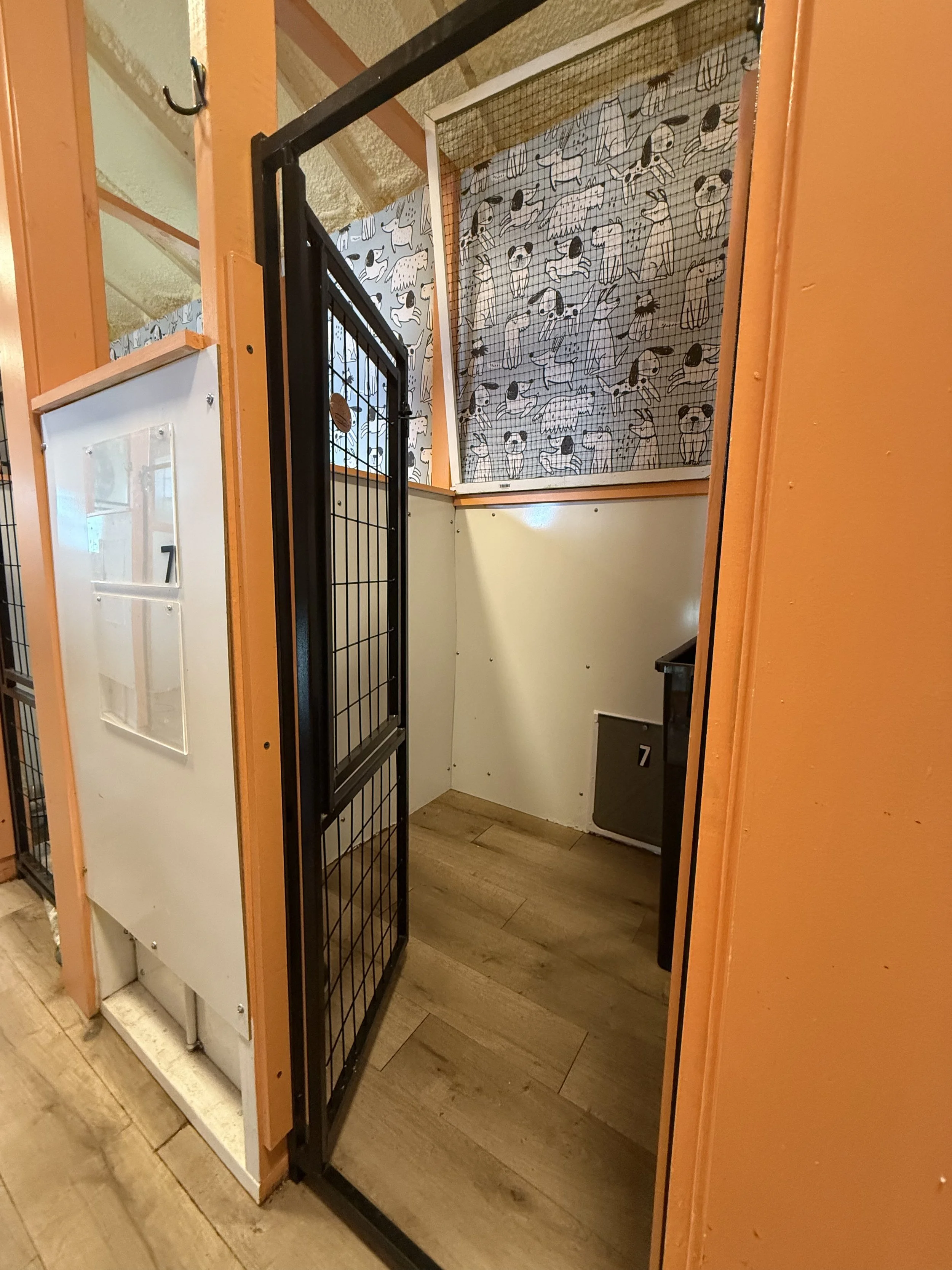 A small enclosed space with a black metal gate, skateboard ramps on the walls with dog illustrations, and a wooden floor.