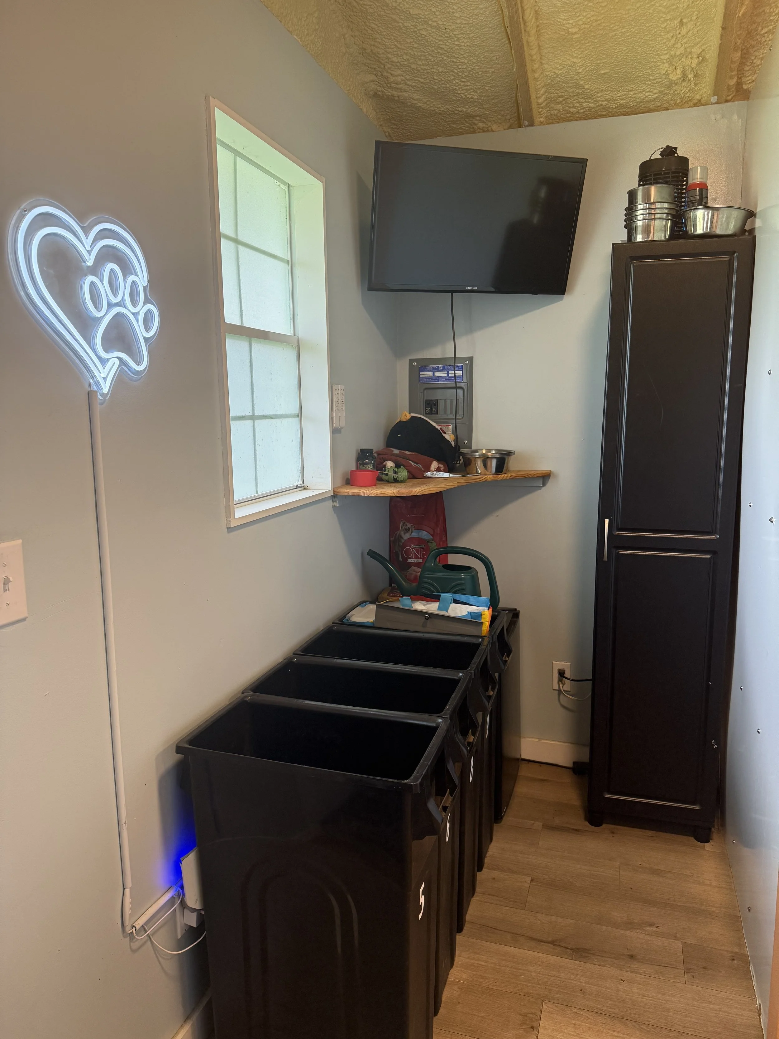 A small room with a white wall, a window, a black cabinet, four black plastic bins, and a black metal shelf on top of the bins. There is a neon paw print sign on the wall, and various kitchen items on a small wooden shelf.