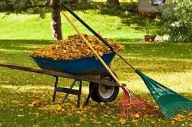 spring and fall clean up.jpg