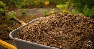mulching.jpg