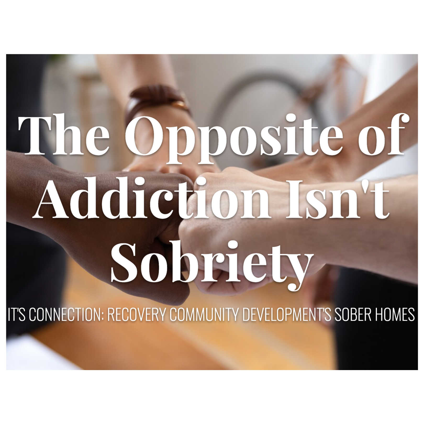 The Opposite of Addiction Isn’t Sobriety - It’s Connection