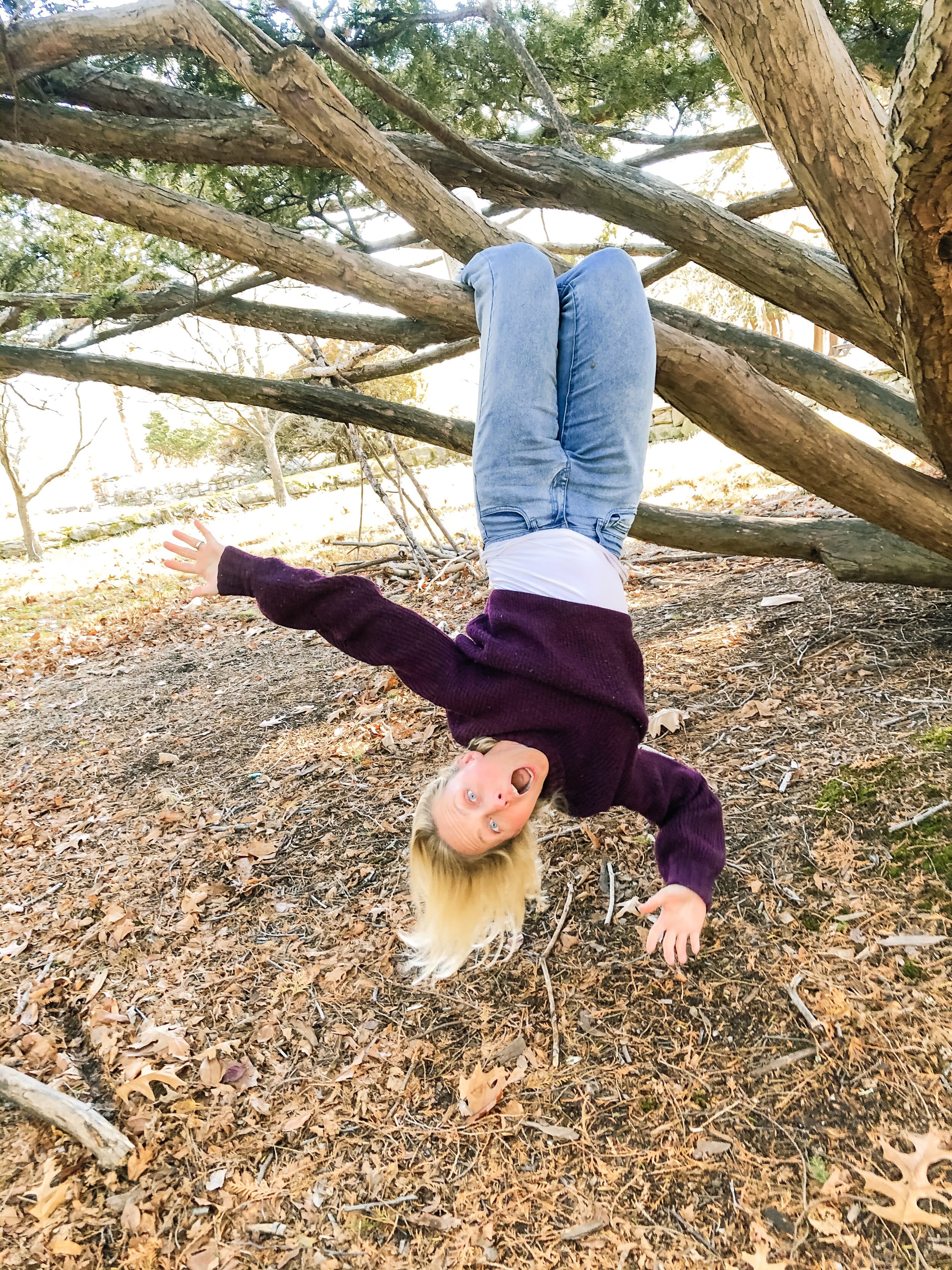 Upside Down Holidays &amp; The Noises of my Home