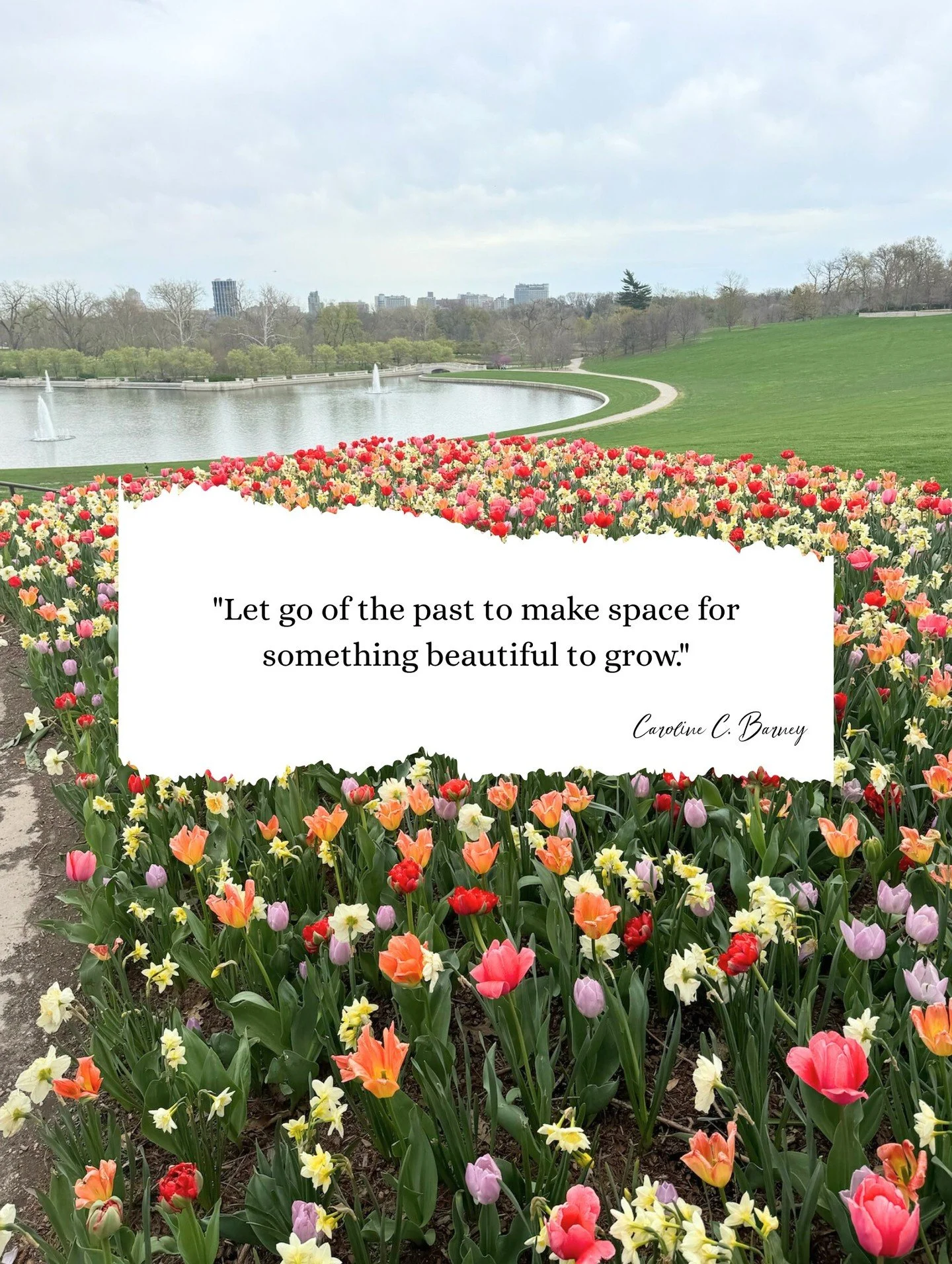 Let go of the past to make space for something beautiful to grow.

Quote from 📖 CONNECTED (October 2026)

Save this for the day you need the reminder&mdash;and send it to someone who could use a little lift today. 💛
