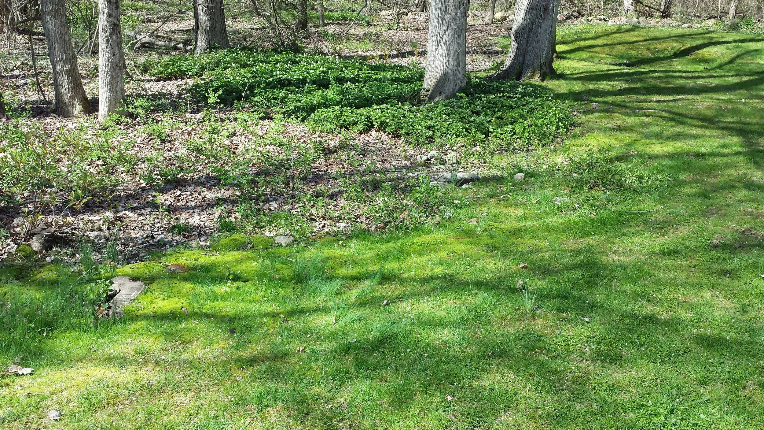 2015-05-02 10.23.02.jpg