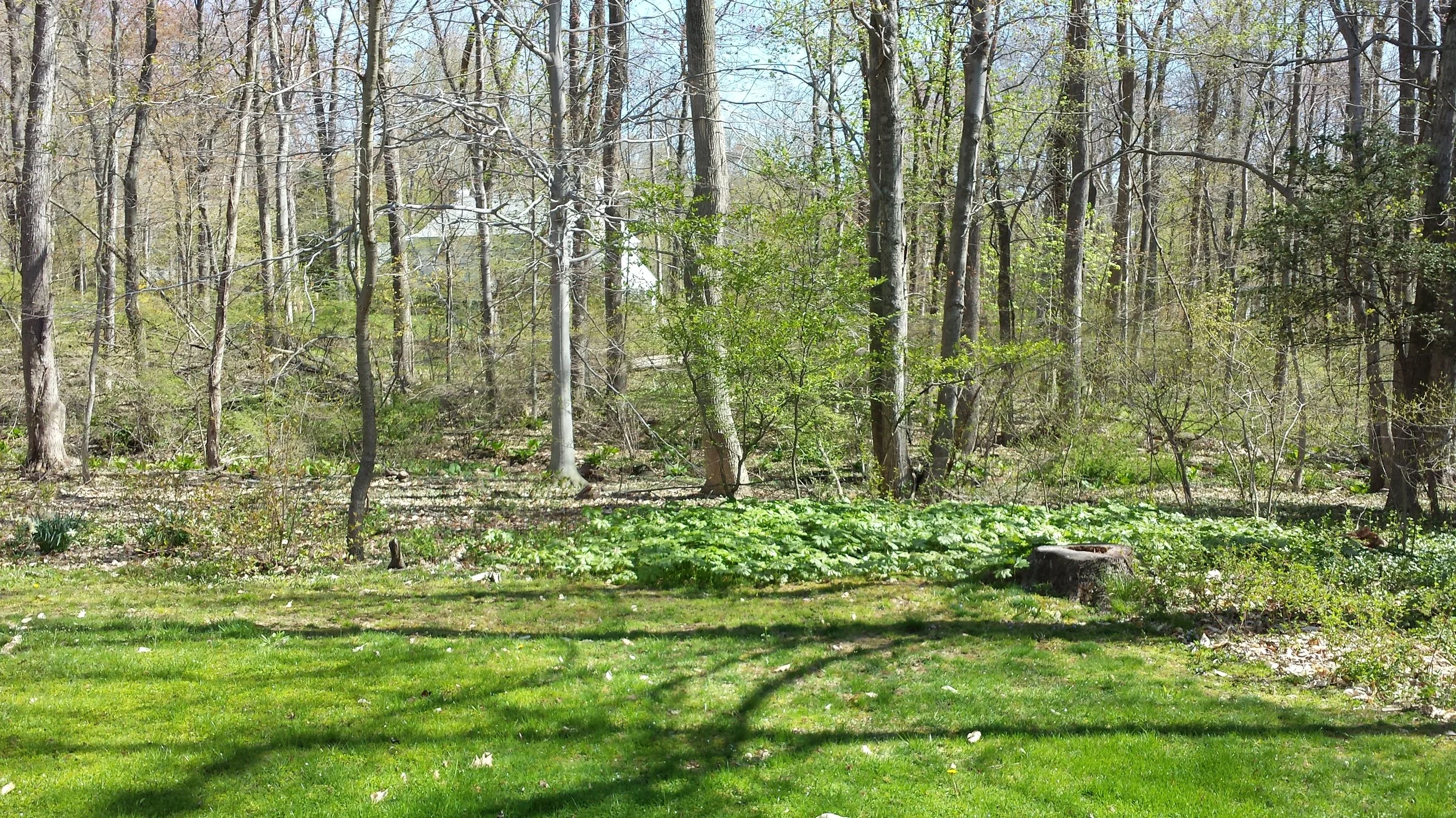 2015-05-02 10.23.37.jpg