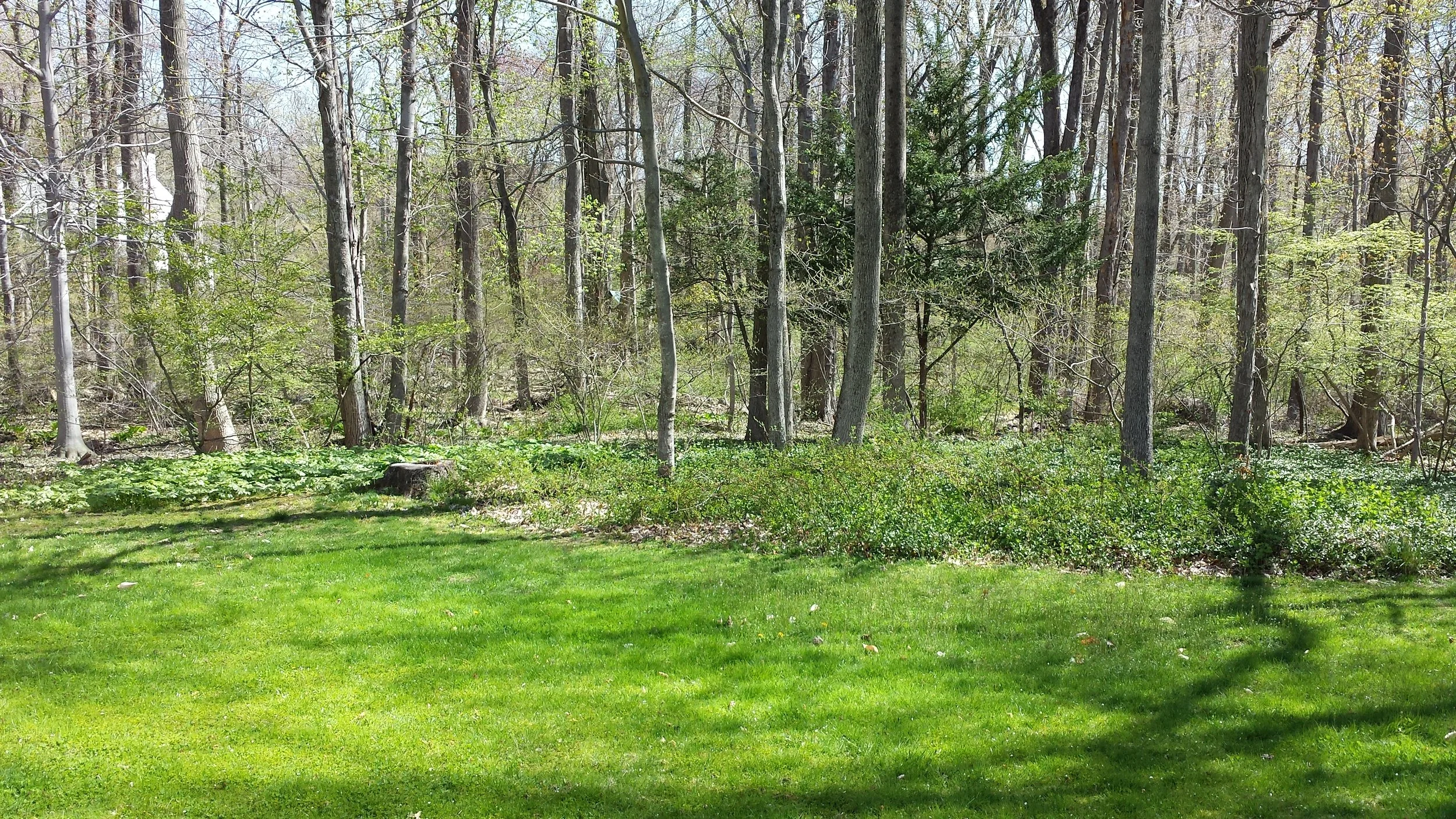 2015-05-02 10.23.28.jpg