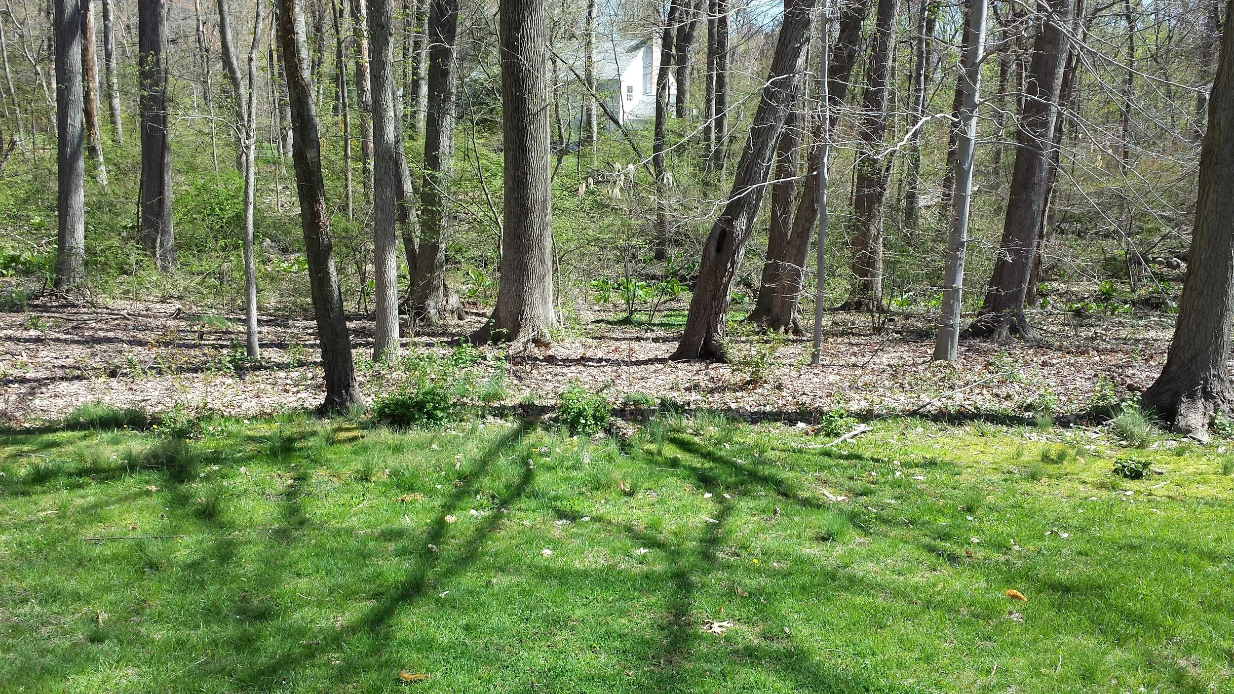 2015-05-02 10.24.21.jpg