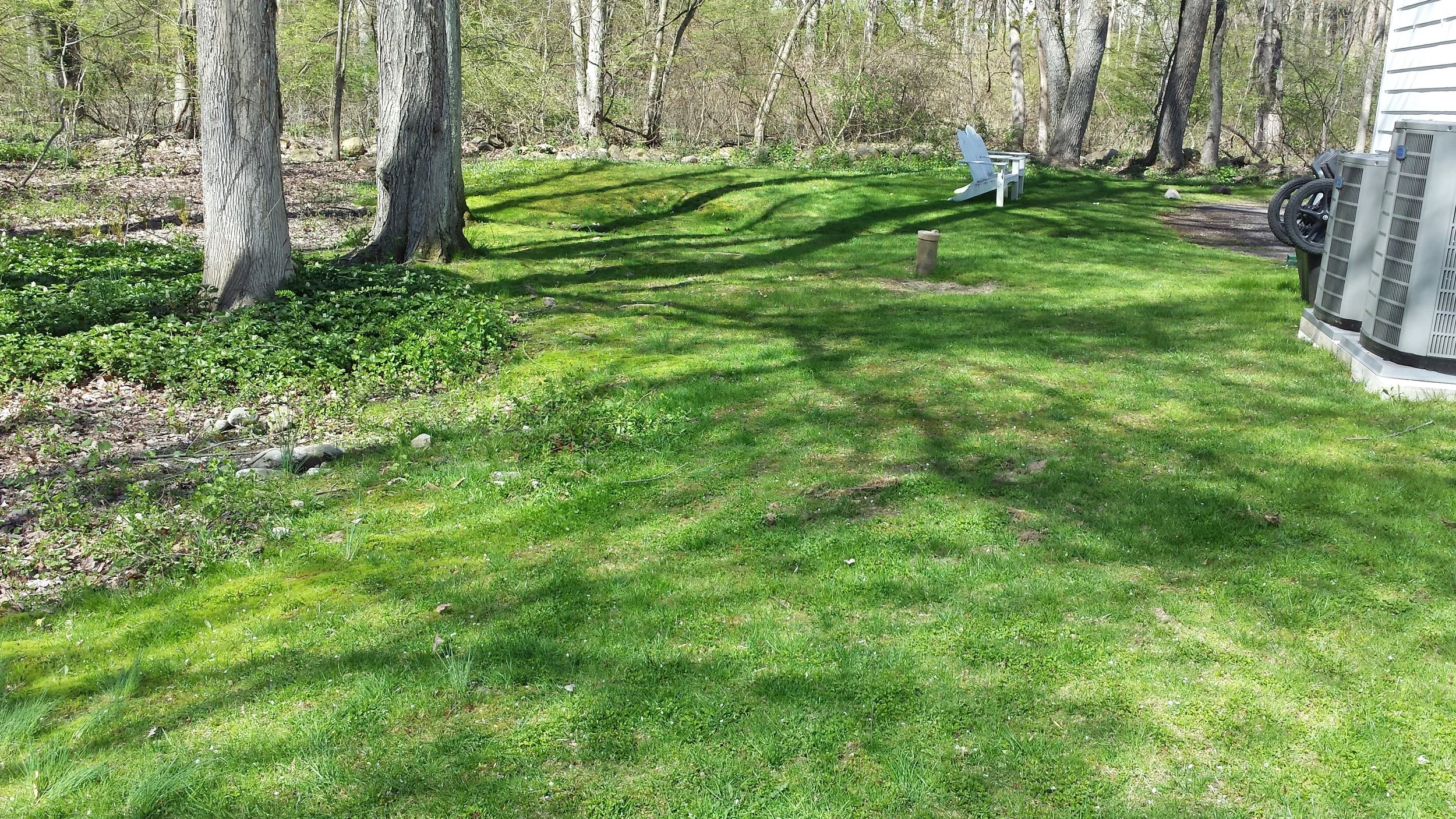 2015-05-02 10.23.05.jpg