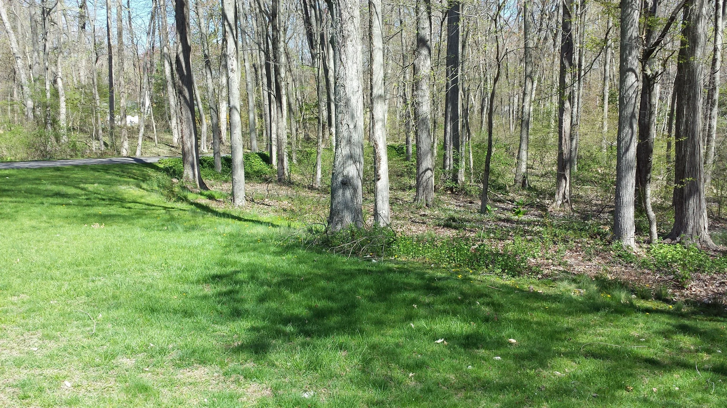 2015-05-02 10.24.15.jpg