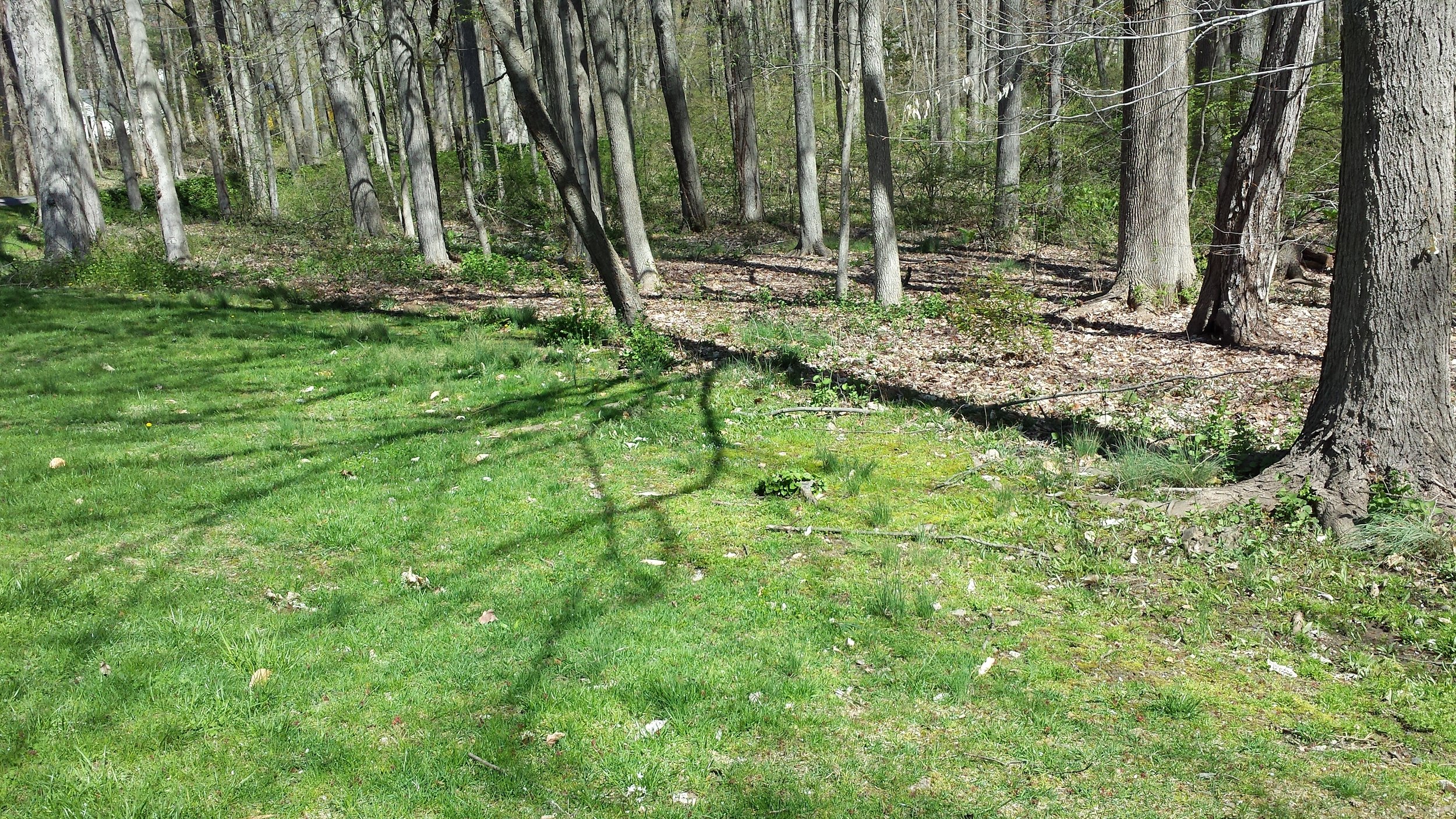 2015-05-02 10.23.58.jpg