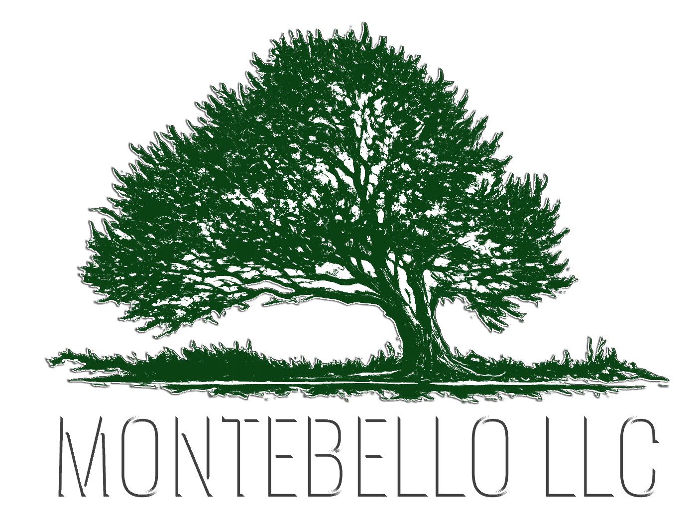 Montebello Landscaping