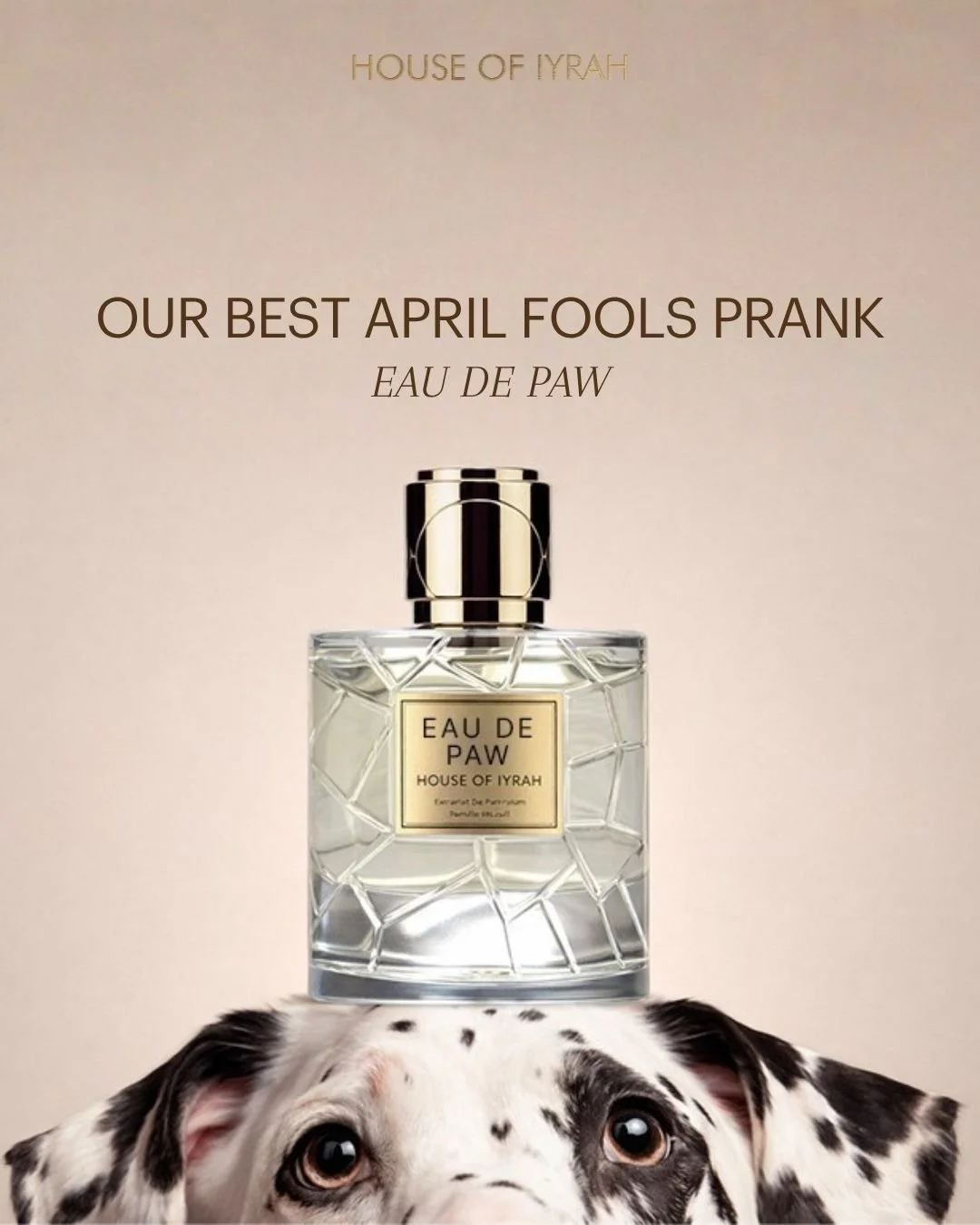 The response to our April Fools&rsquo; prank drop for House of Iyrah was everything 🤍

Introducing Eau de Paw &mdash; a luxury fragrance for your pup 🐾

Top notes: Fresh grass &middot; Morning air &middot; Wet tennis ball
Heart notes: Warm fur &mid