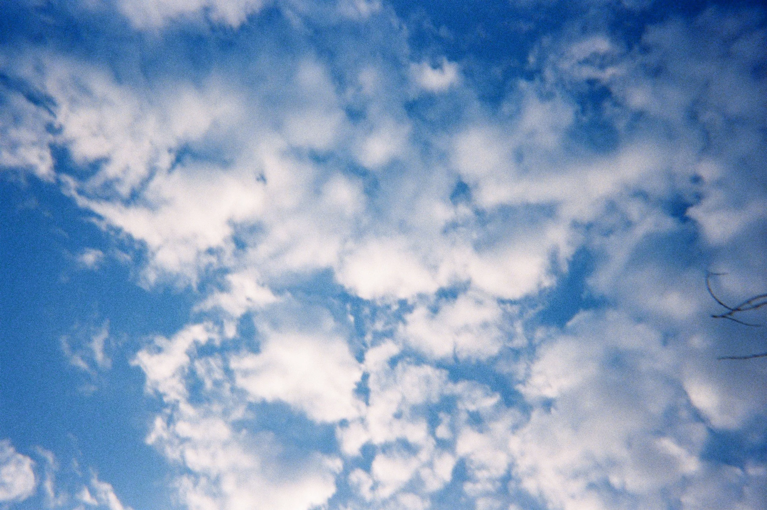R1-06487-0003.jpg