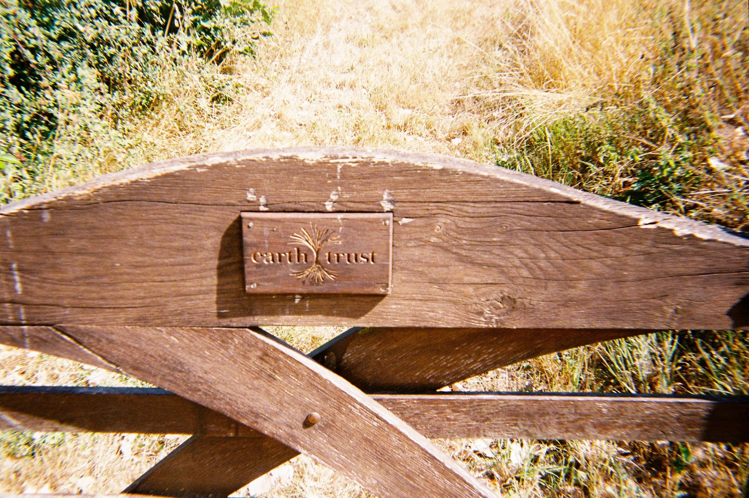 R1-06483-011A.jpg