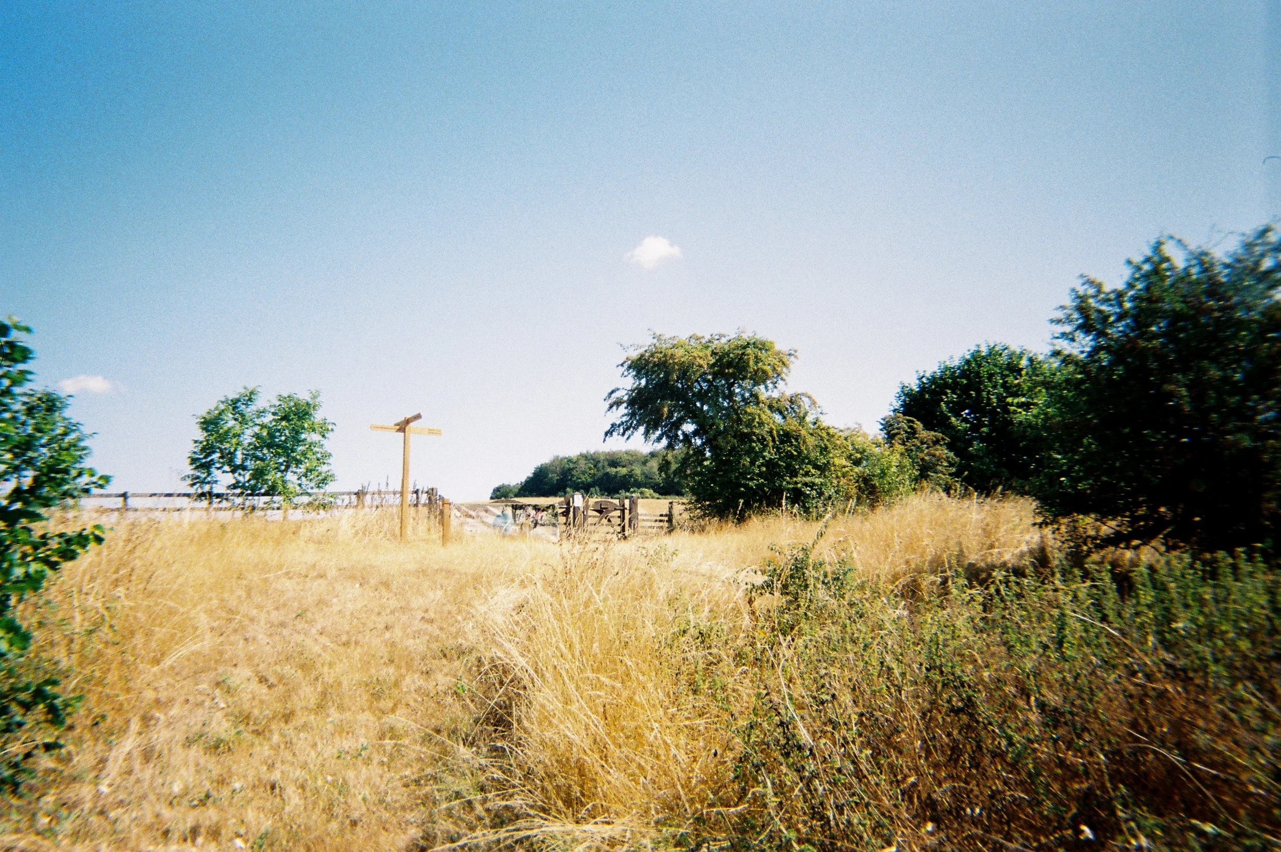 R1-06483-010A.jpg