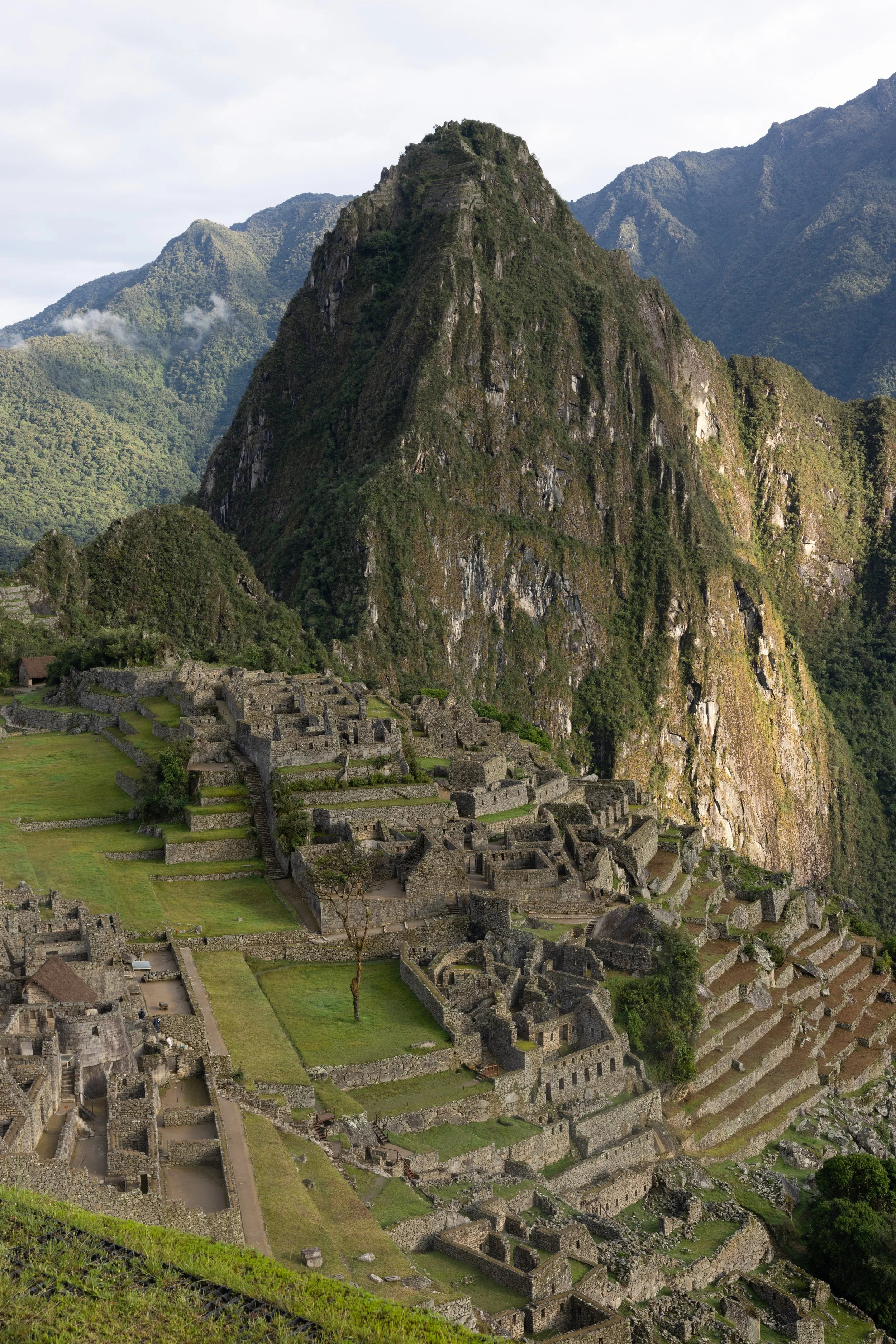 Peru 20240130--28.jpg