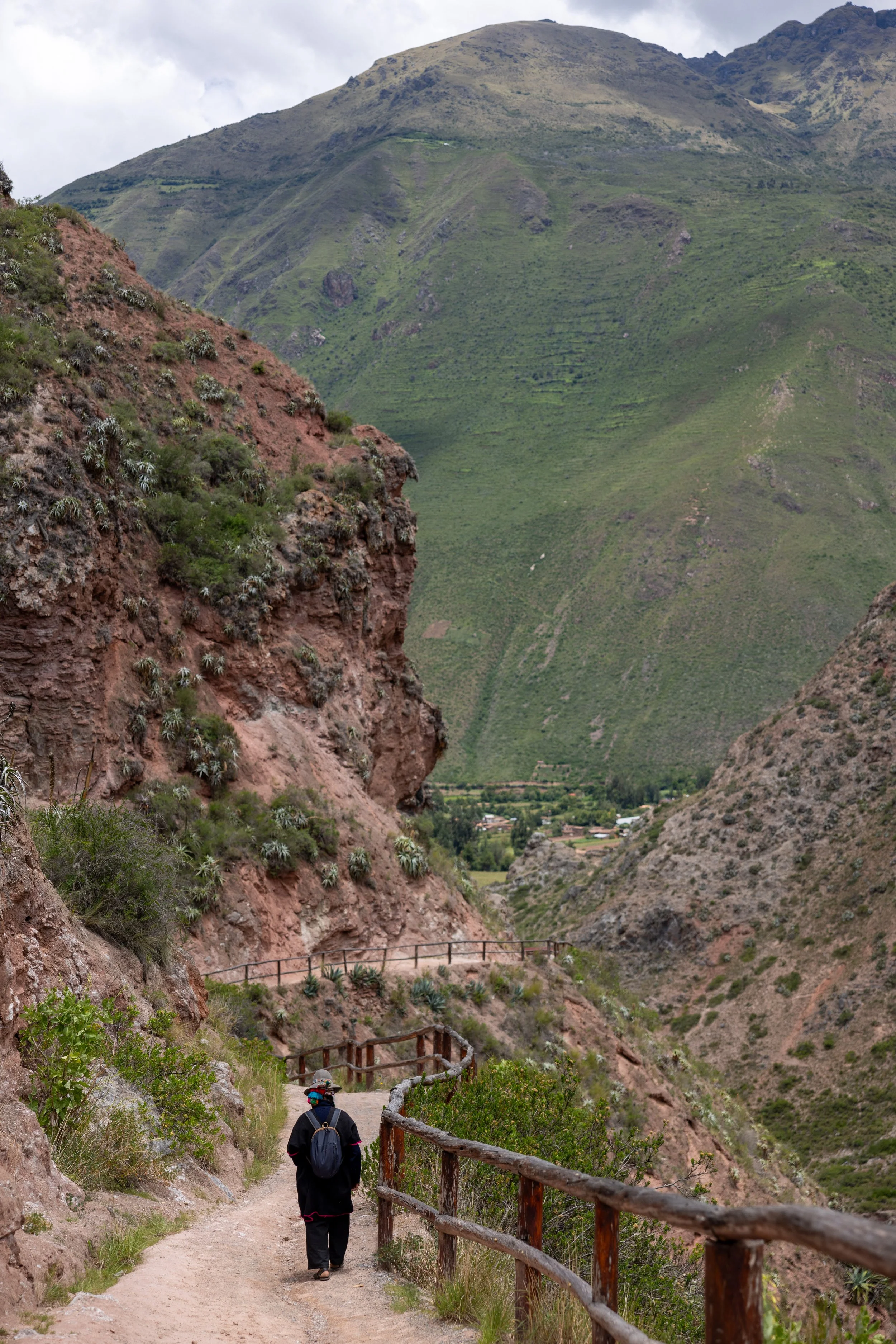 Peru 20240121--18.jpg