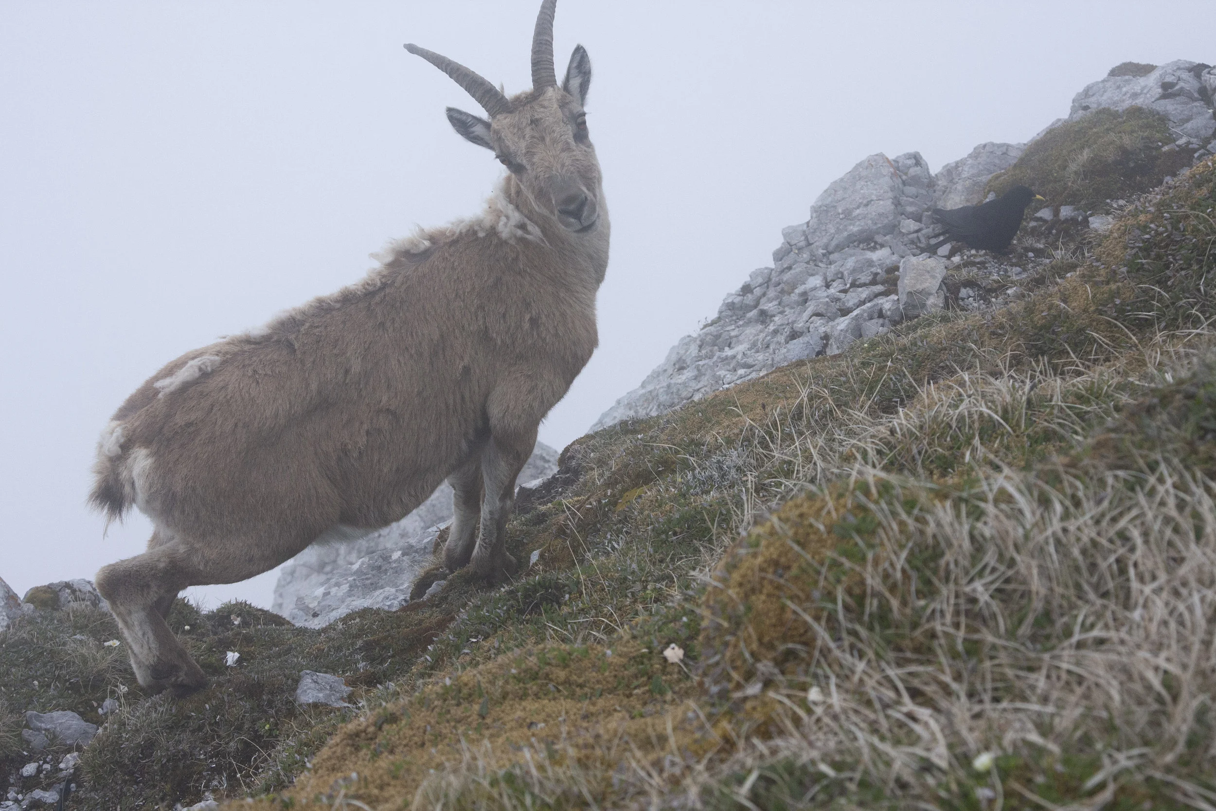 Lucerne_June2013 (170).jpg