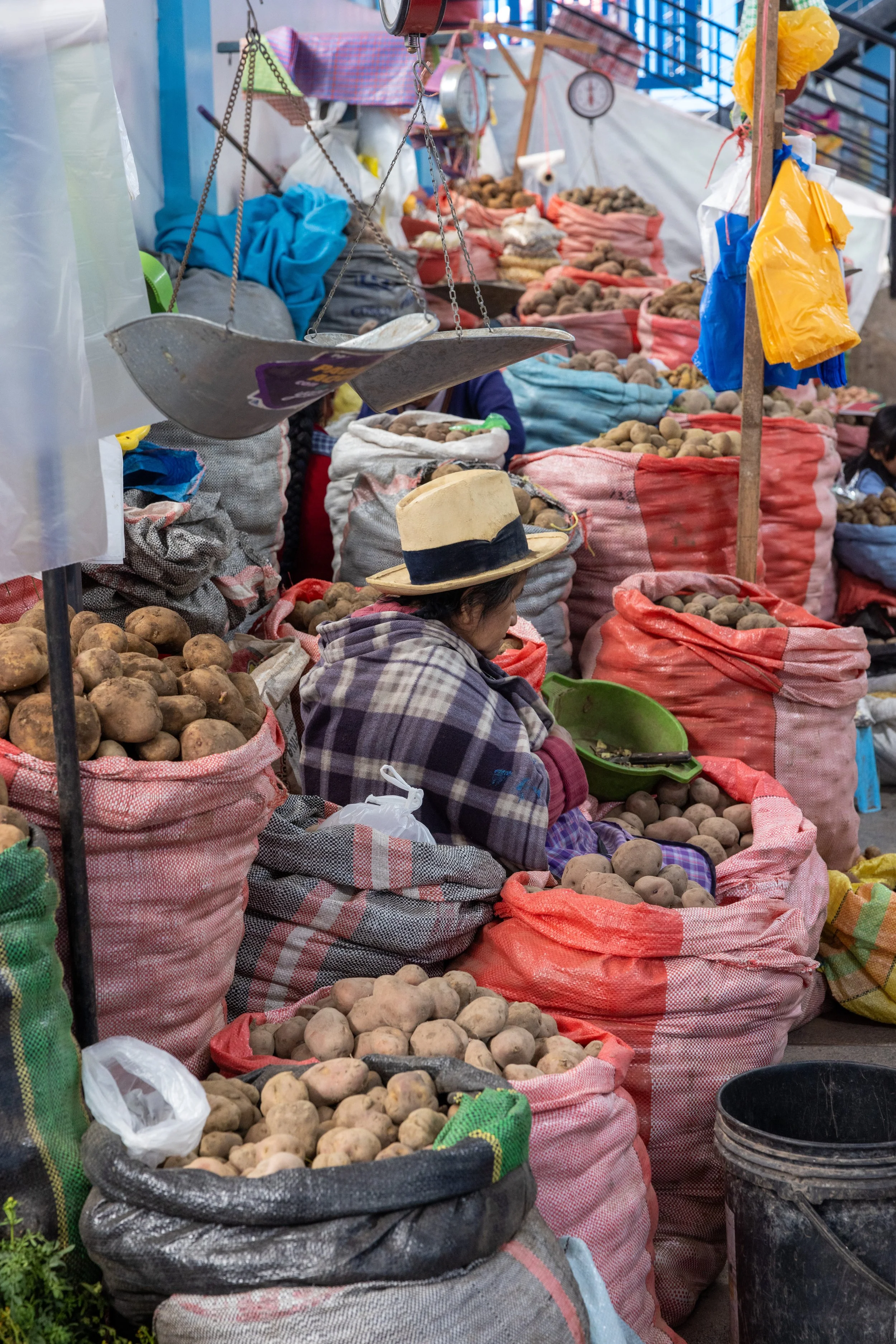 Peru 20240126--25.jpg