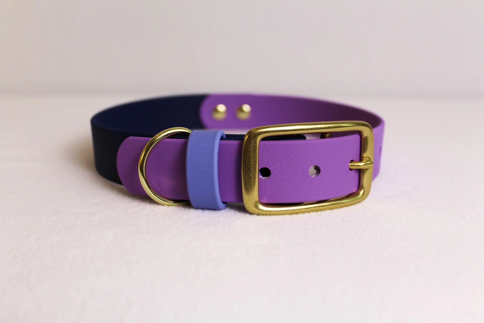 Waterproof Biothane Dog Collar