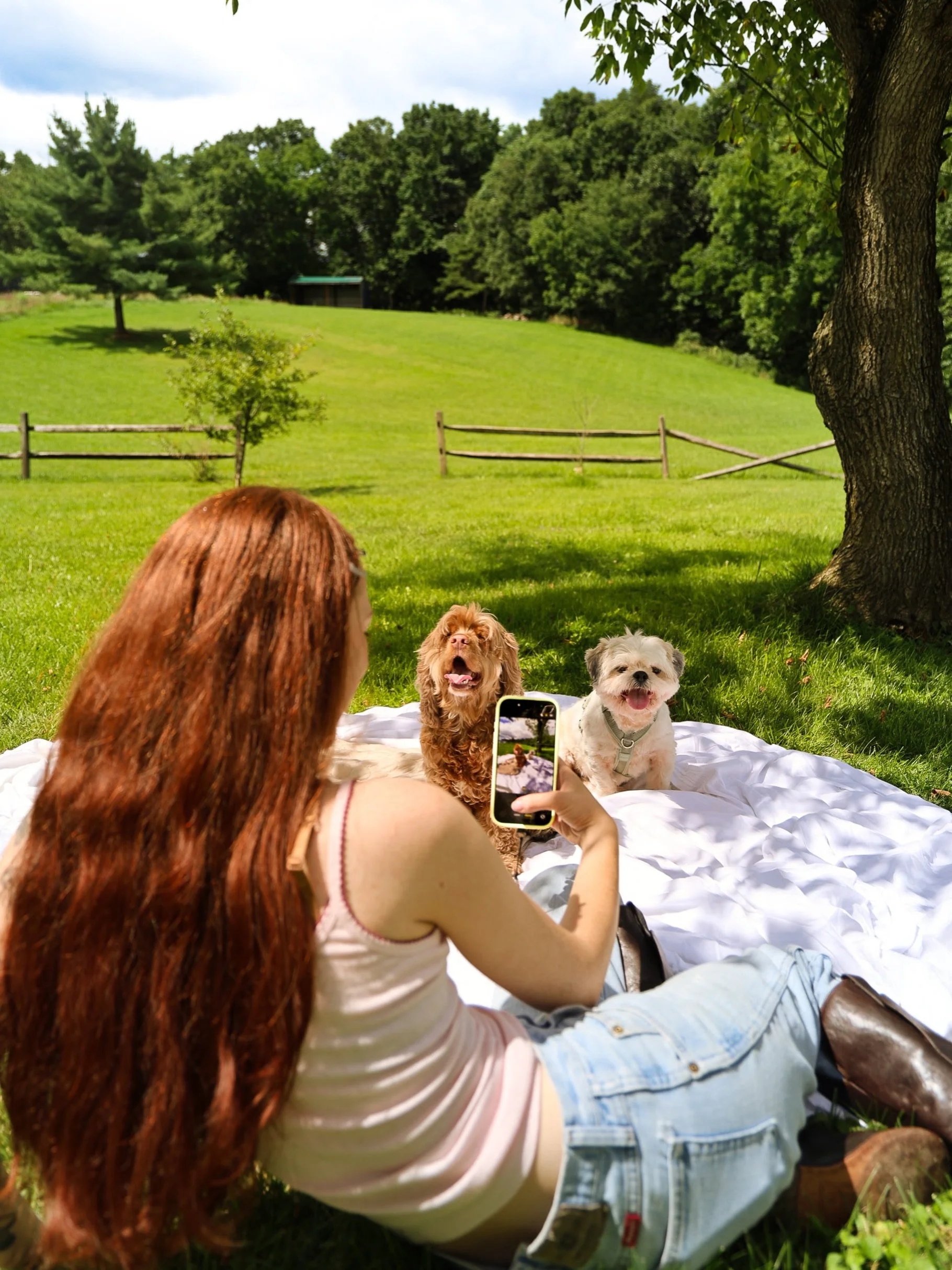 Who&rsquo;s ready for National Dog Day?? 🐶🤏🏼

They are the best walking buddies, snack testers, couch snugglers, and little shadows. Life is just a little happier, sillier, and better with a dog by your side.

Give your Paws some extra love this w
