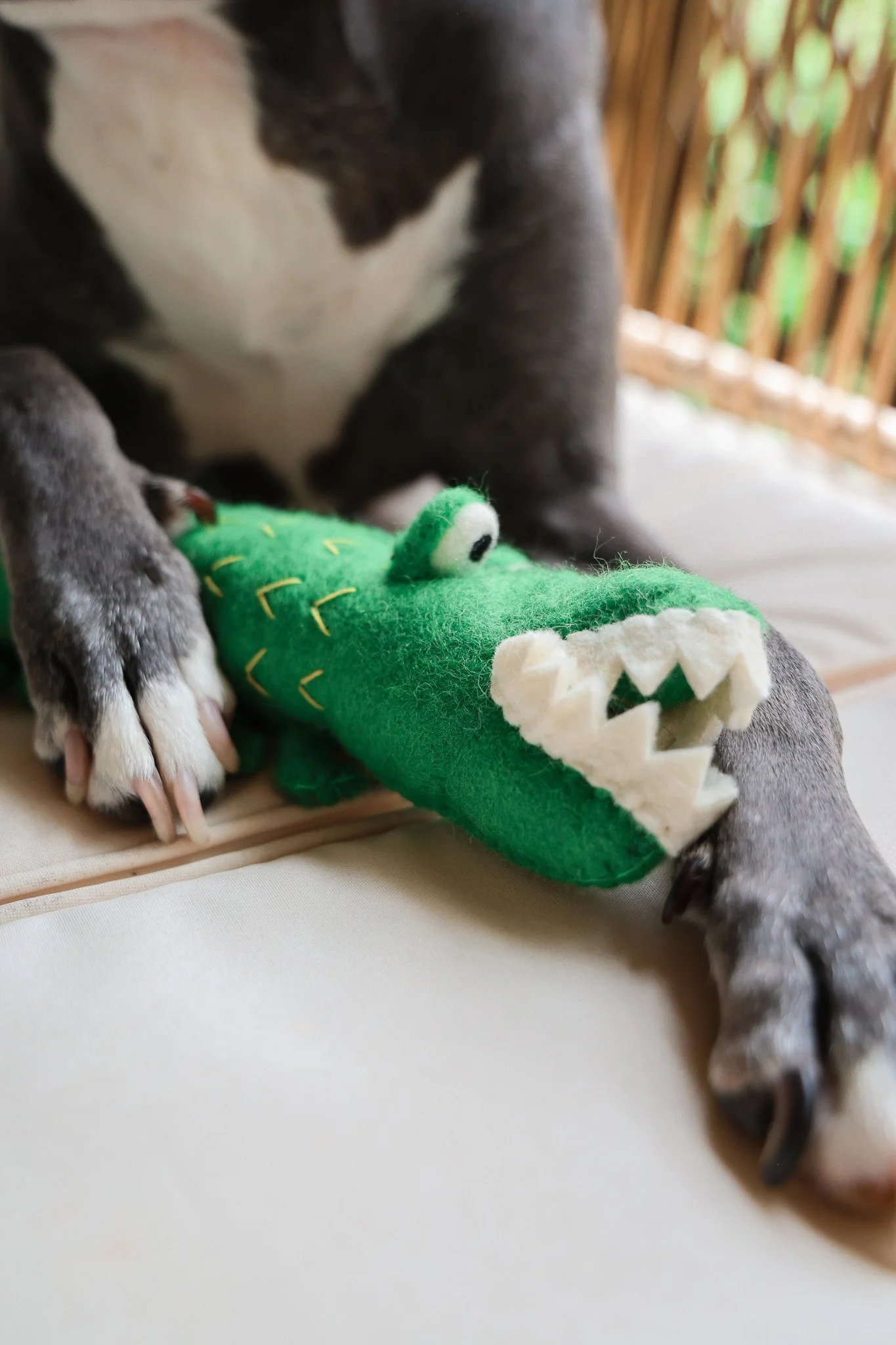 Aligator Toy