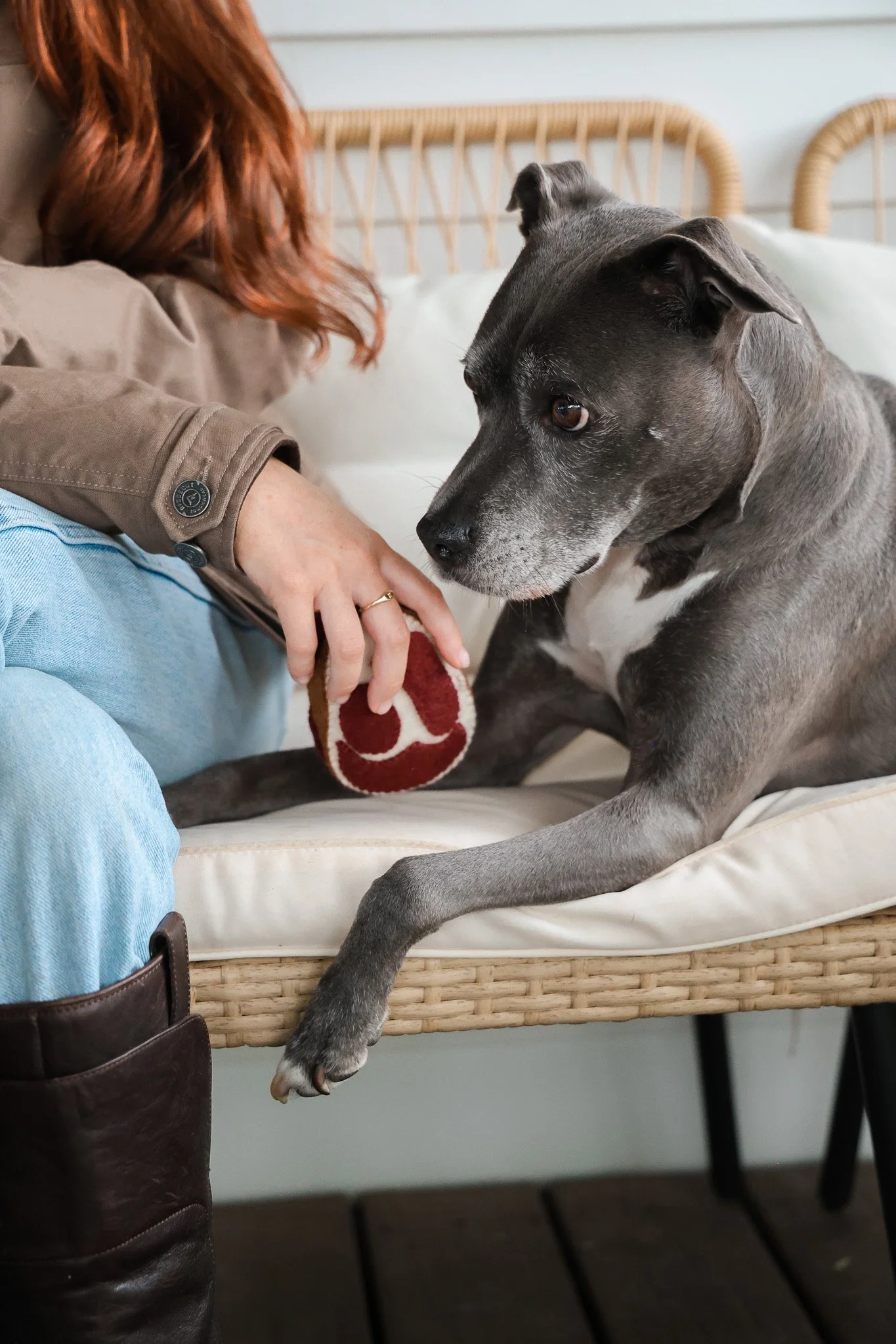 Wool Steak Toy