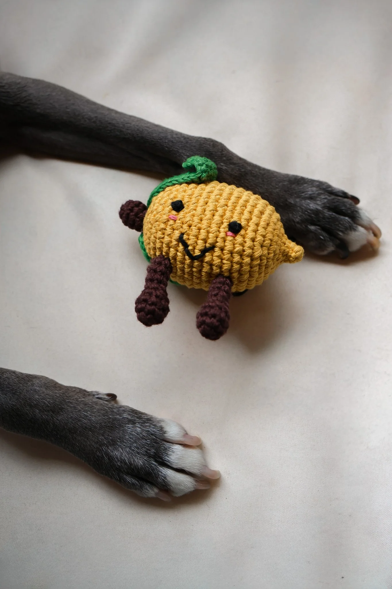Lemon Toy