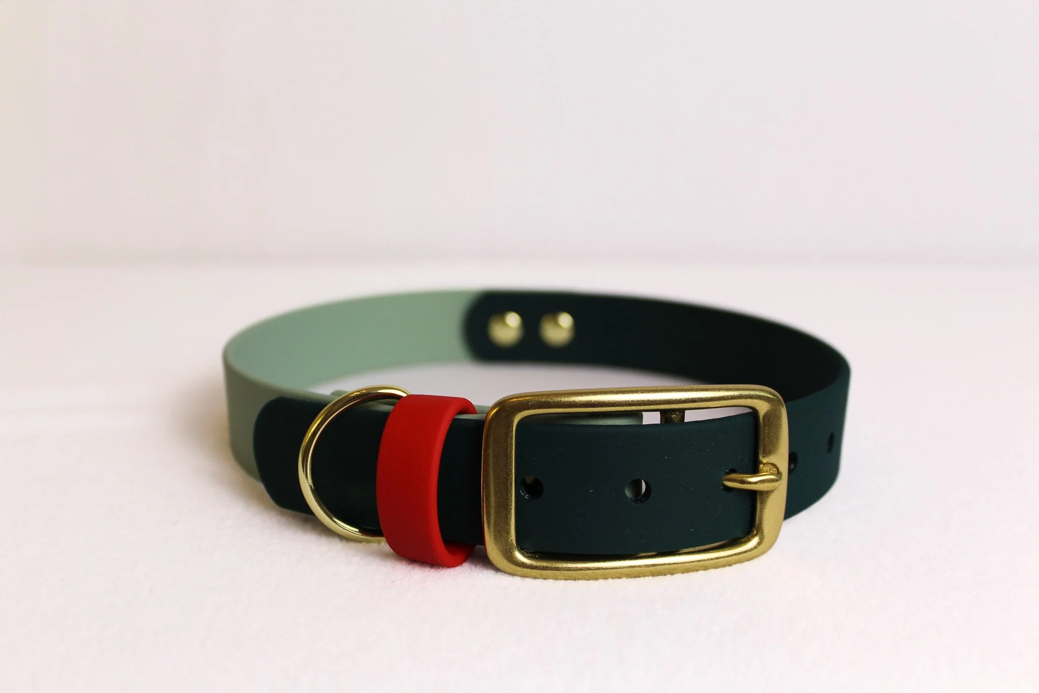 Waterproof Biothane Dog Collar