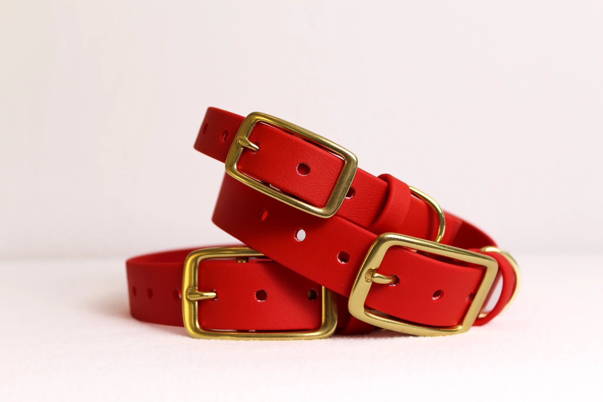 Waterproof Biothane Dog Collar