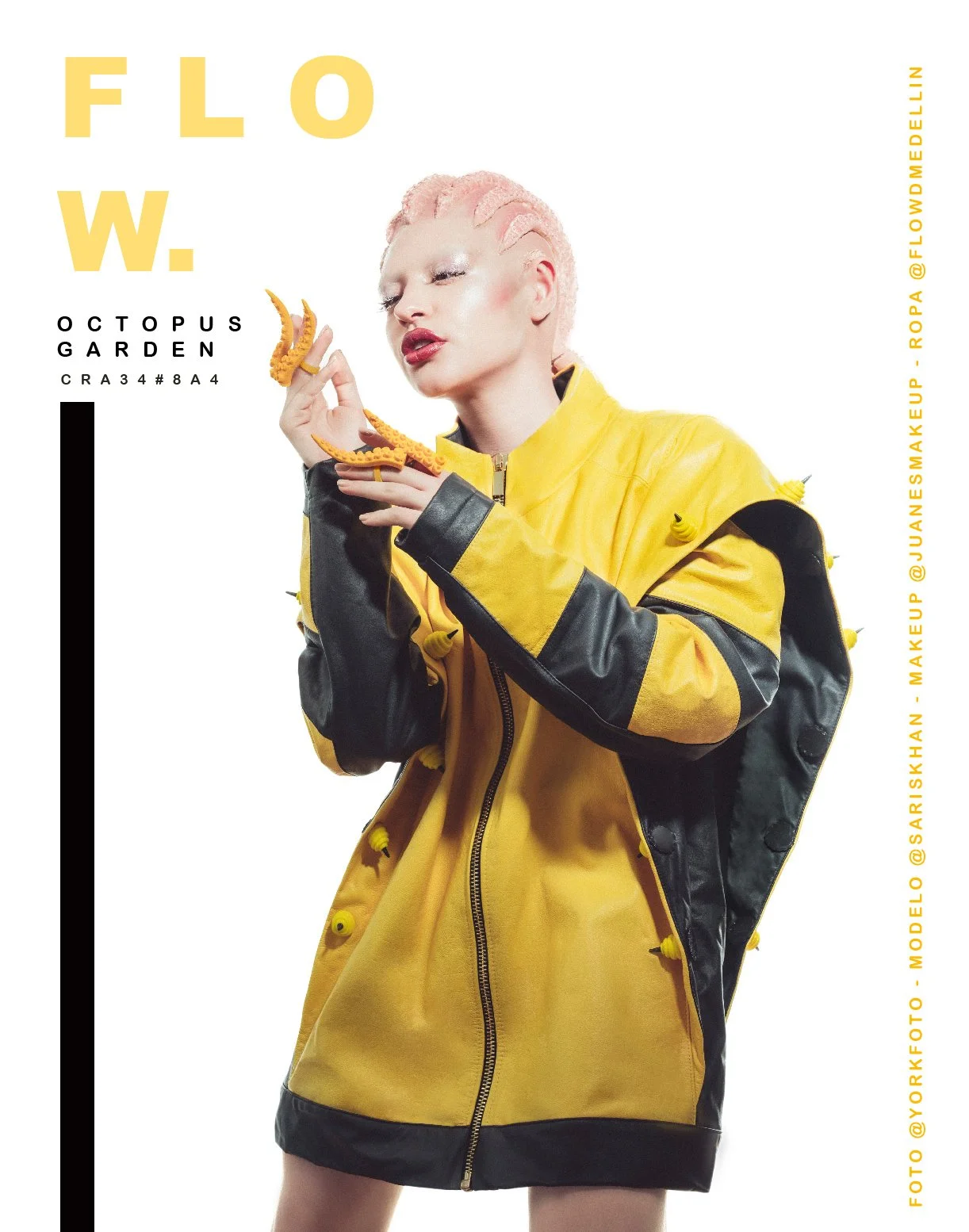 AFICHES FLOW2-01.jpg