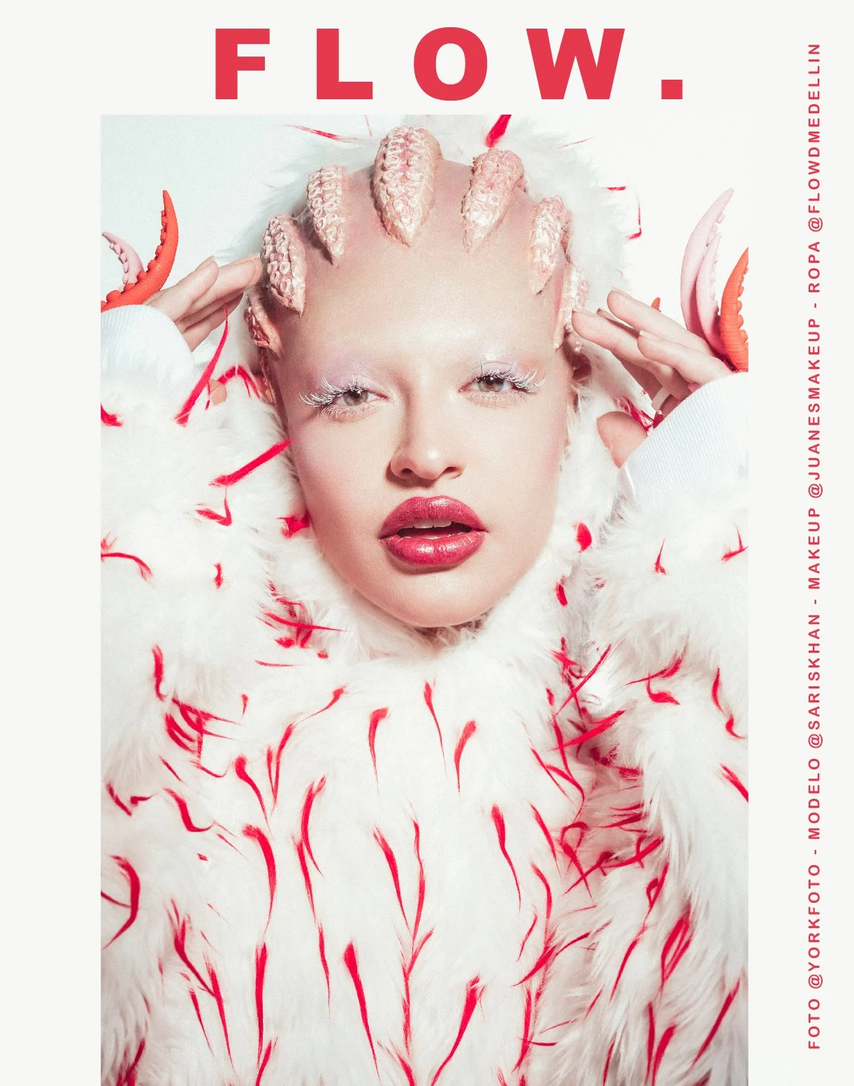 AFICHES FLOW2-02.jpg