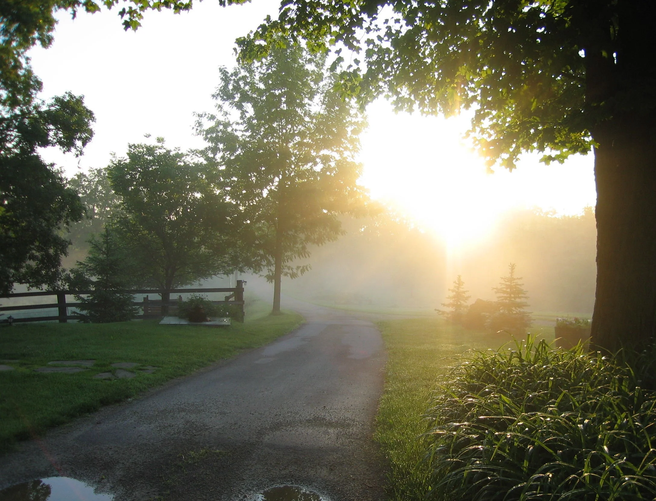 Driveway in late spring
