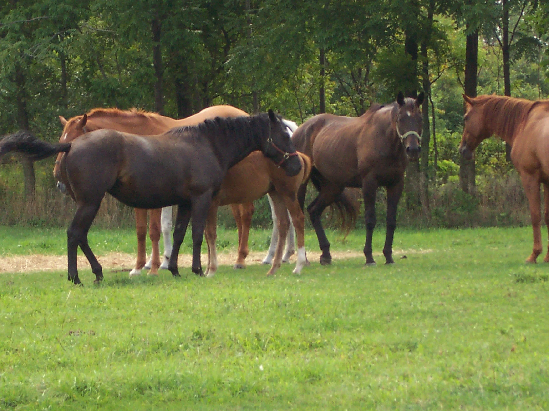 A huddle