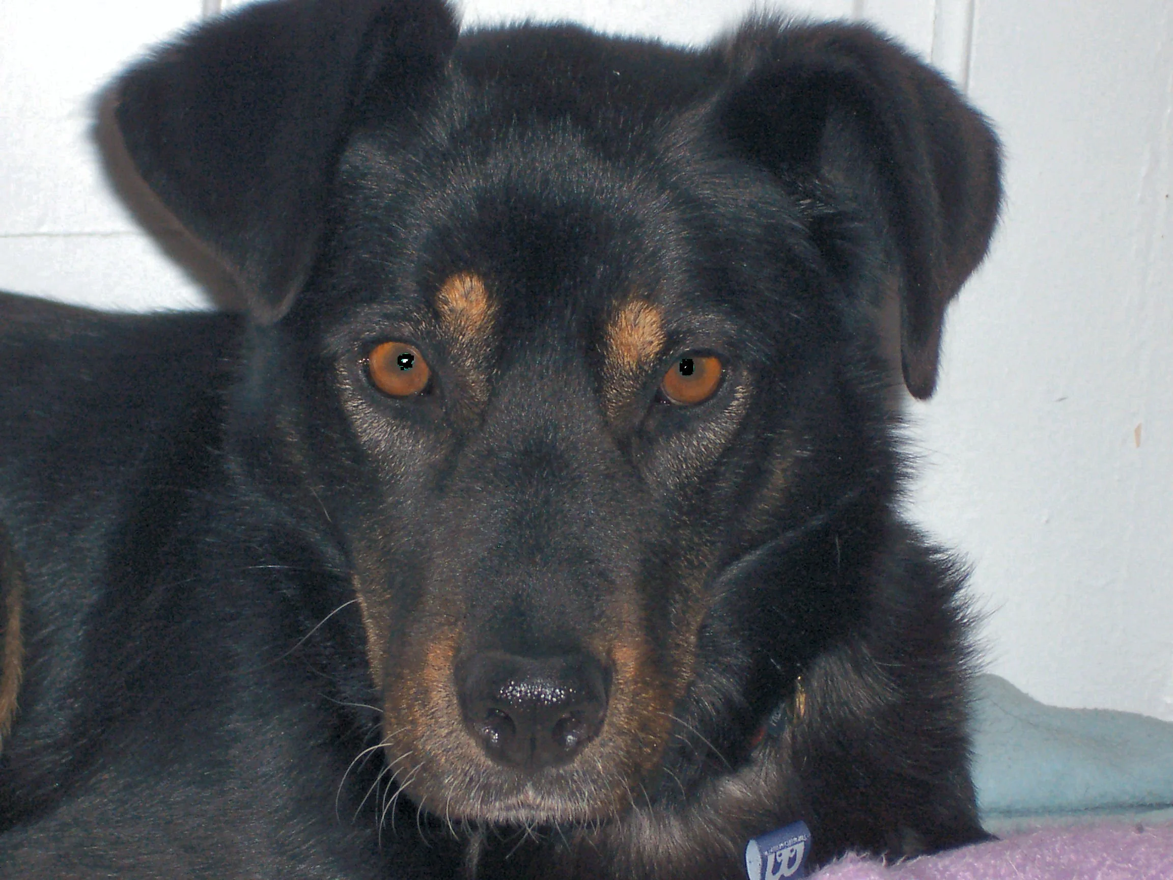 Murphy