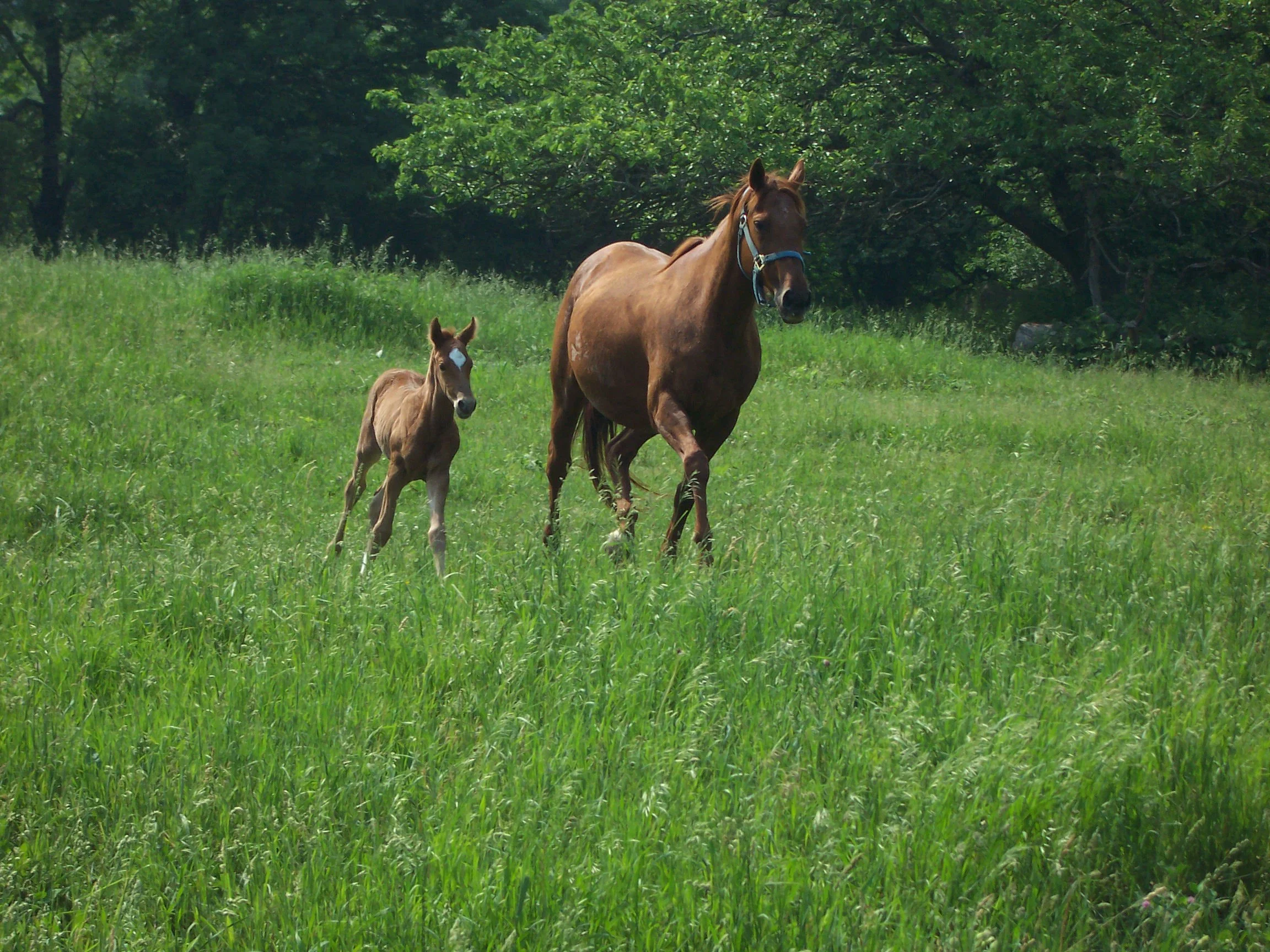 Hopi and Mom Sally